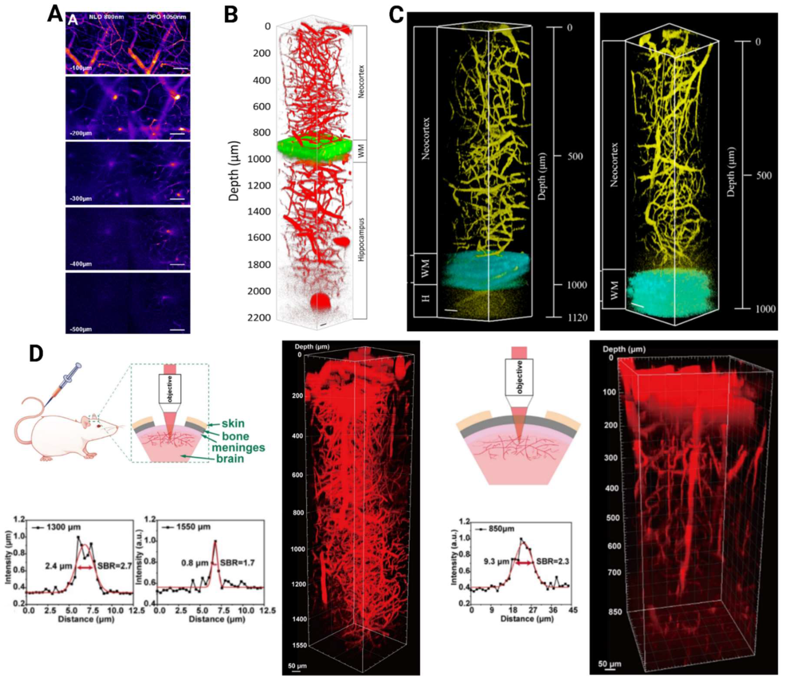 Preprints 139267 g002