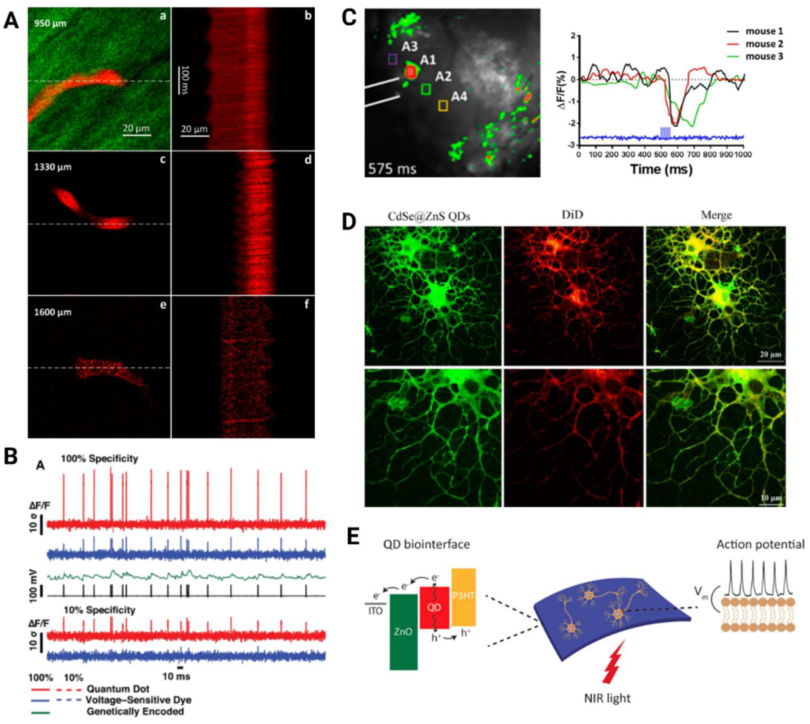 Preprints 139267 g003