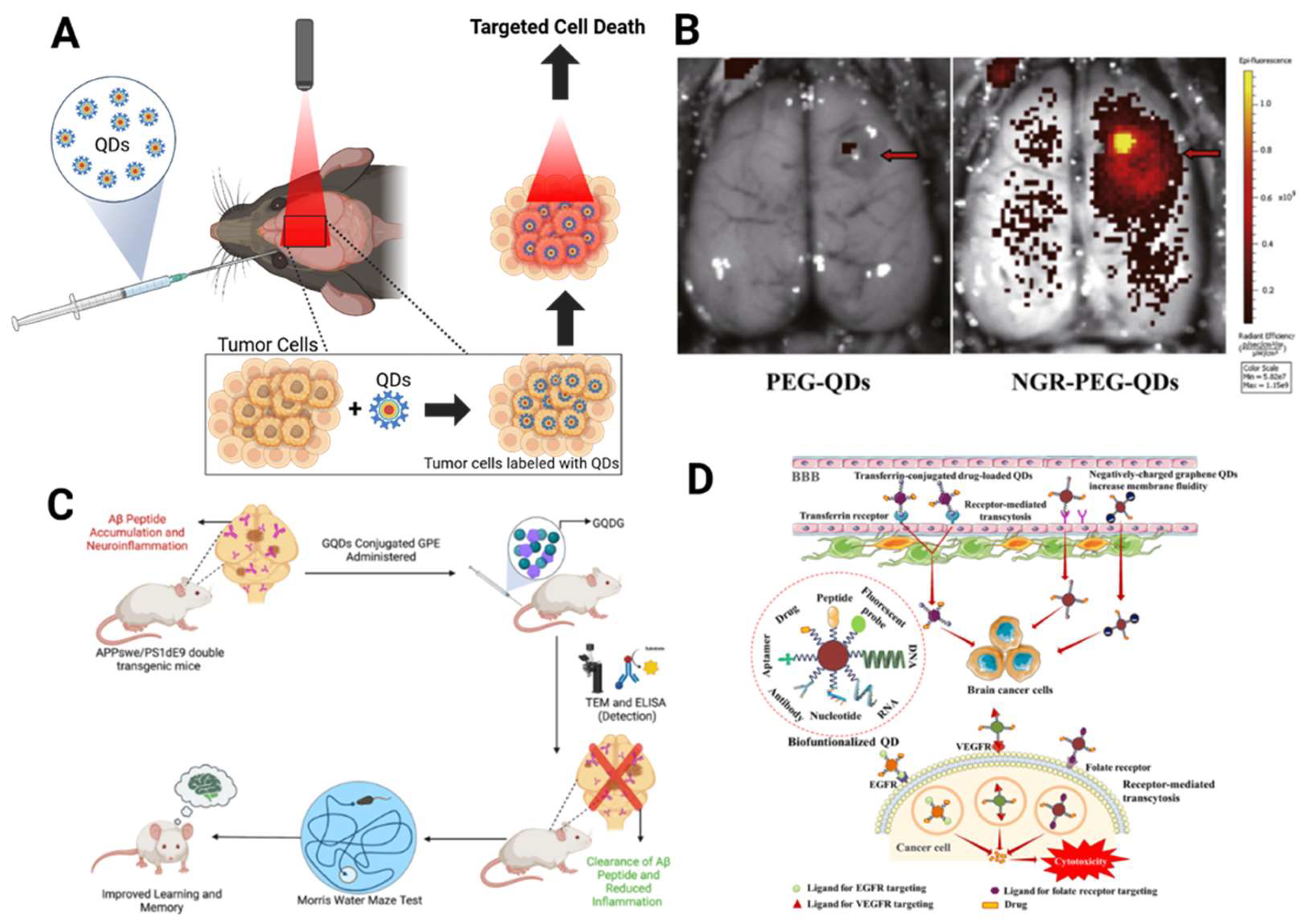 Preprints 139267 g005