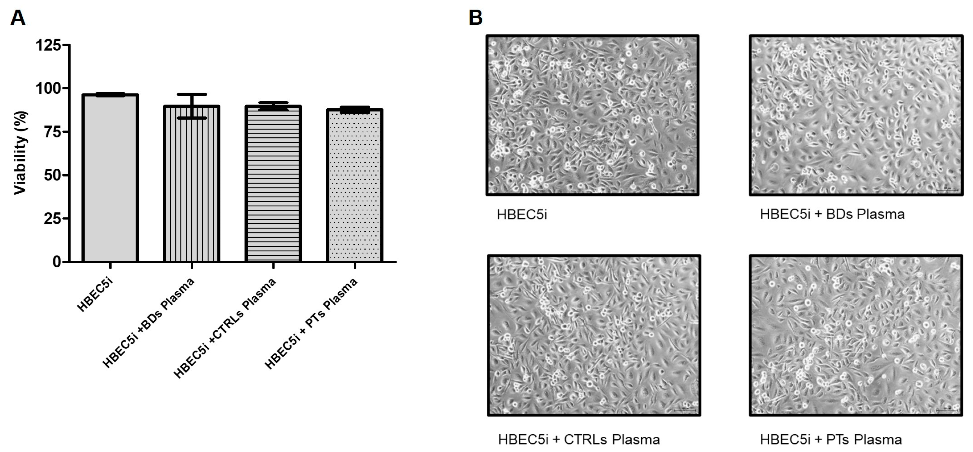 Preprints 83952 g001