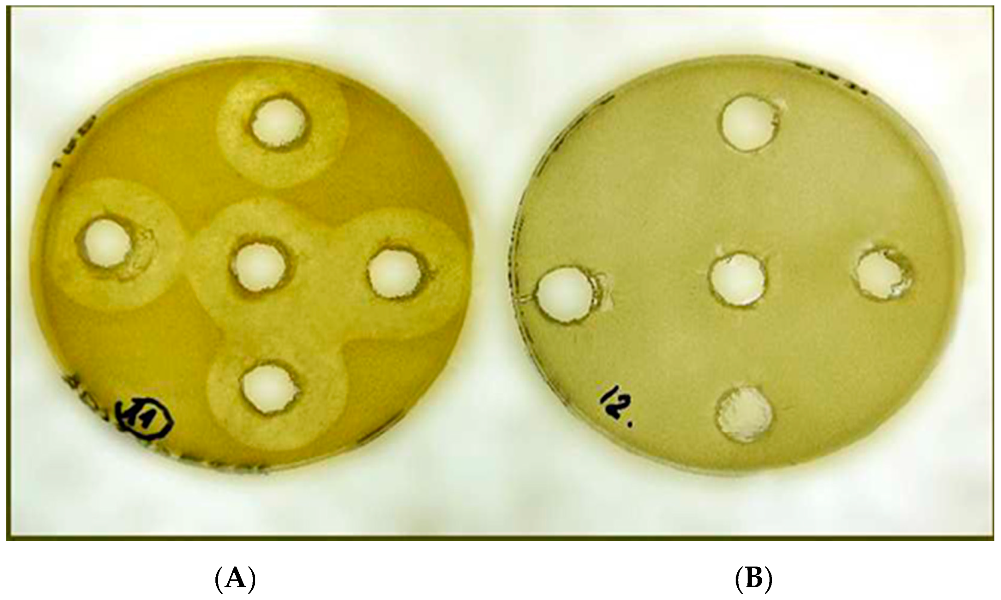 Preprints 89447 g006