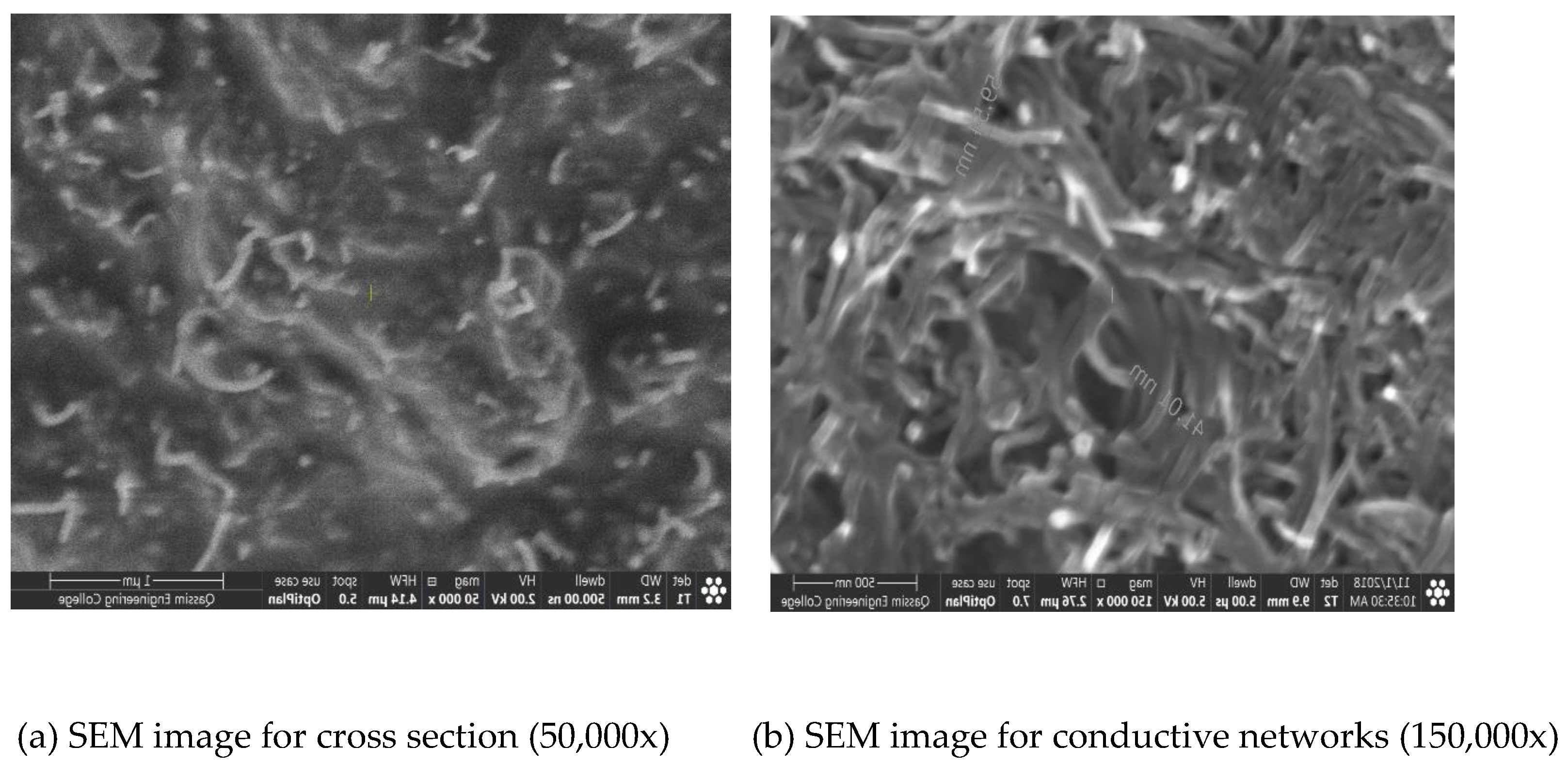 Preprints 72753 g001a