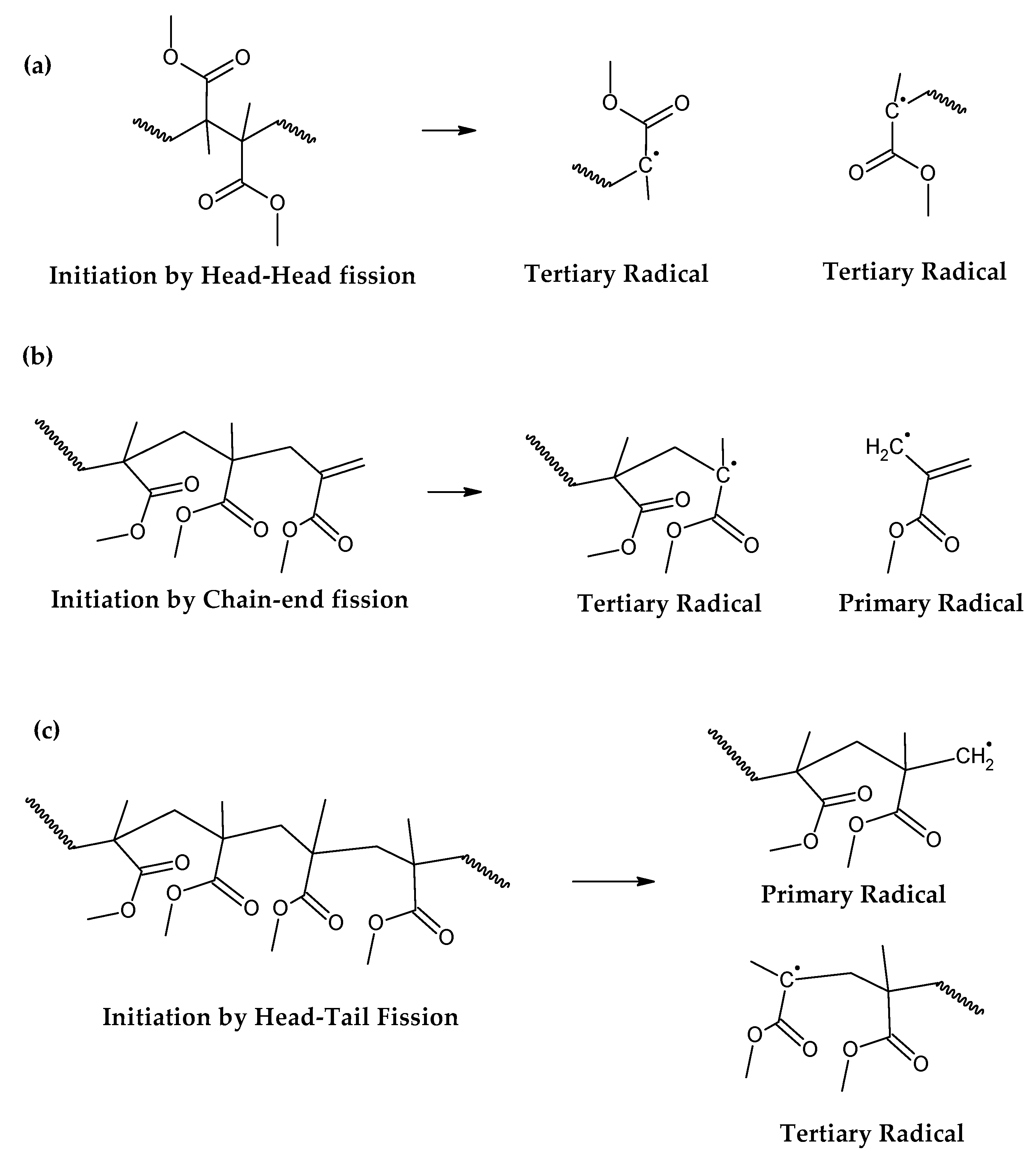 Preprints 137943 g002