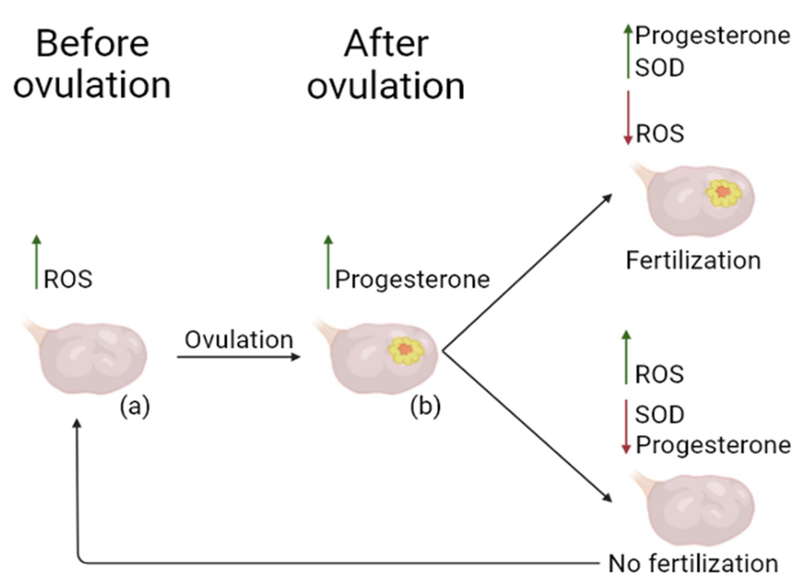 Preprints 111835 g003