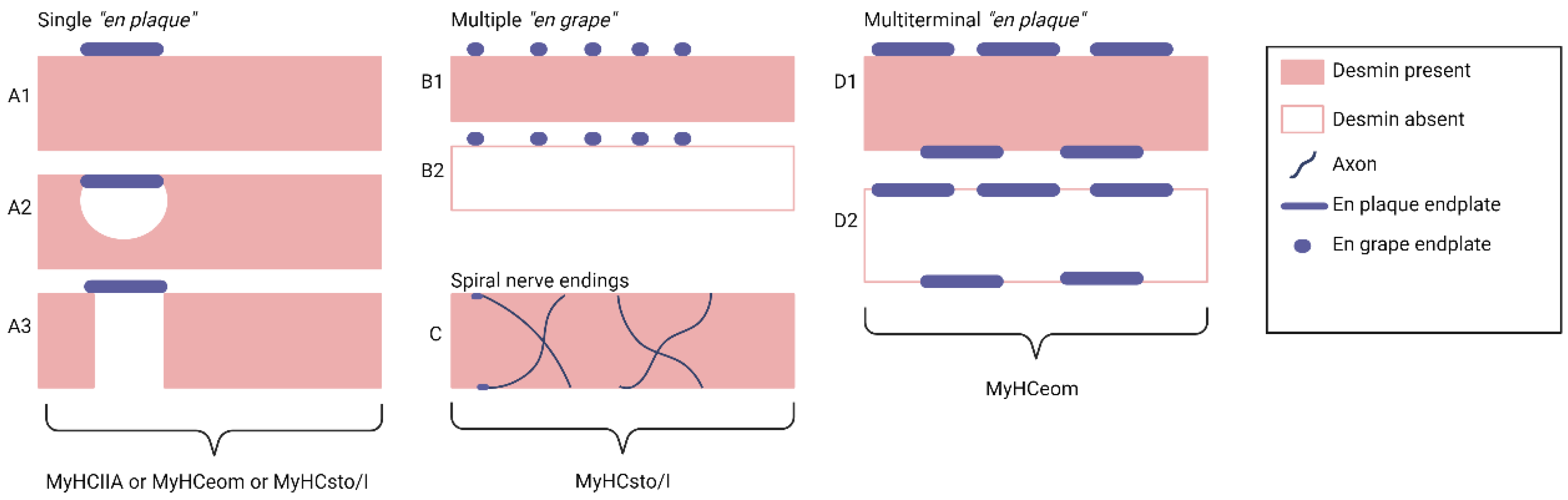 Preprints 104587 g006