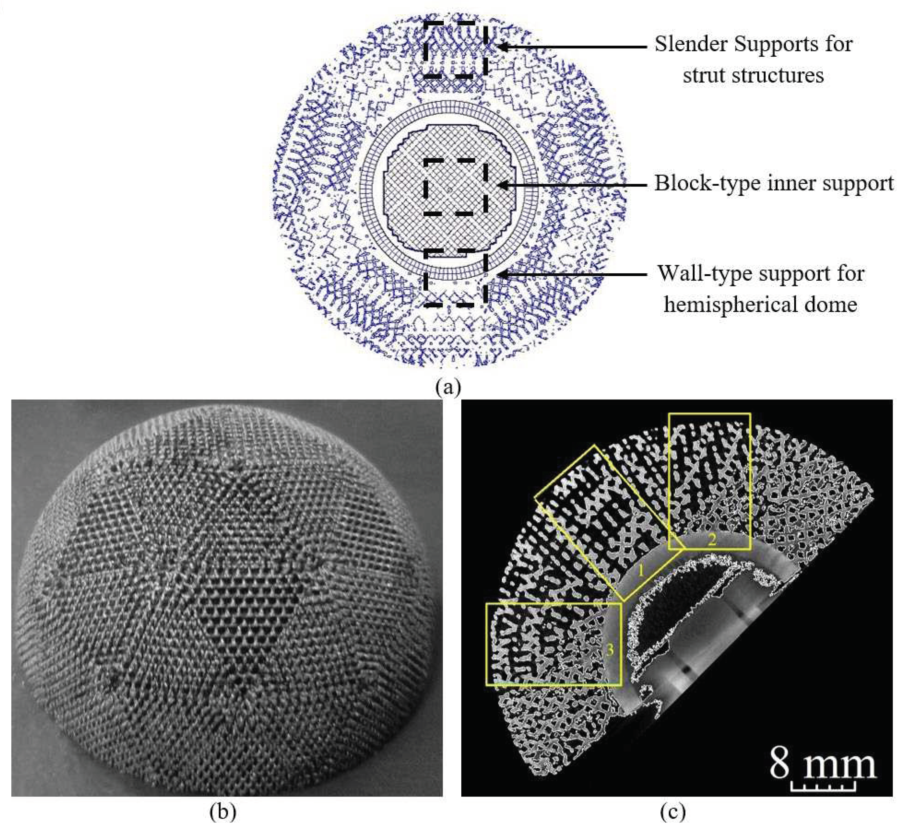 Preprints 71677 g006