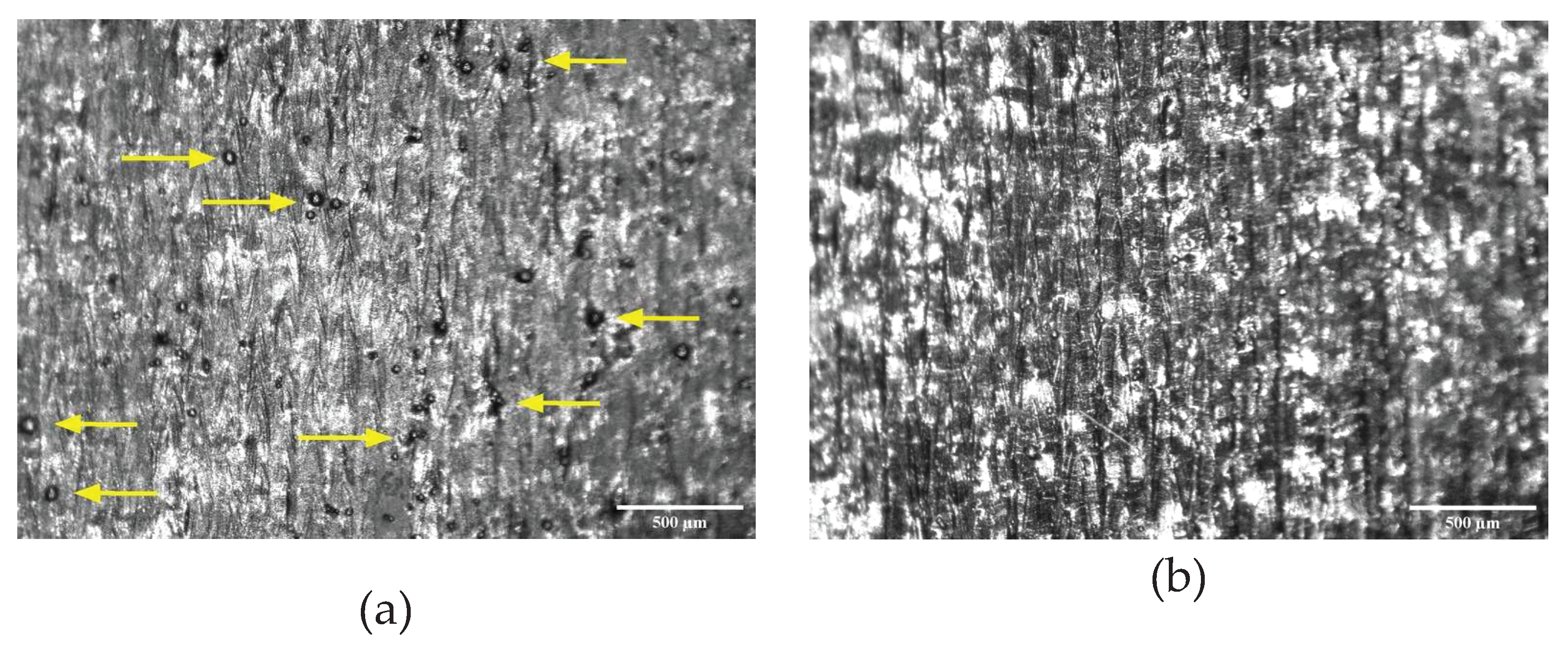 Preprints 71677 g008