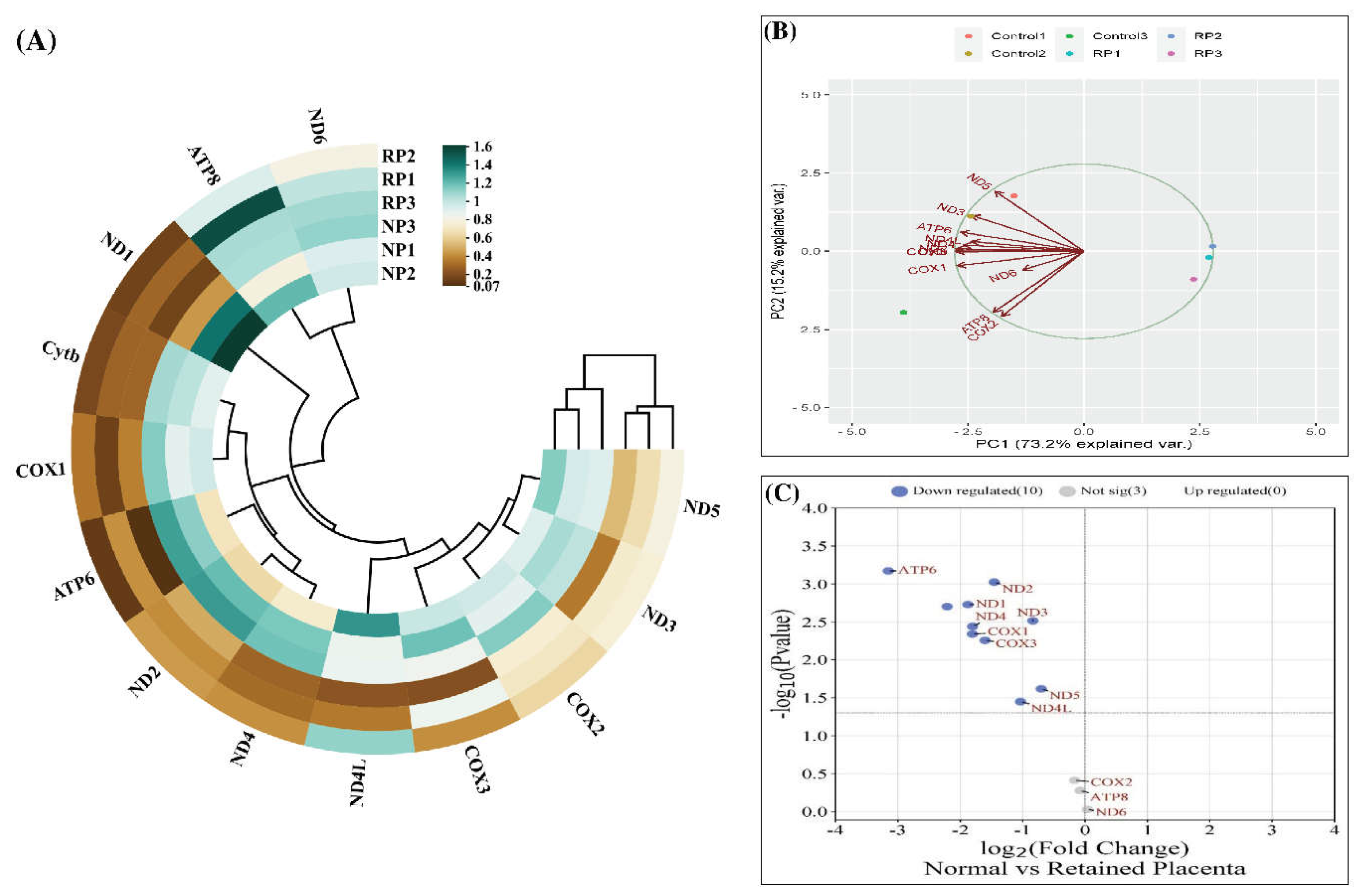 Preprints 105605 g003