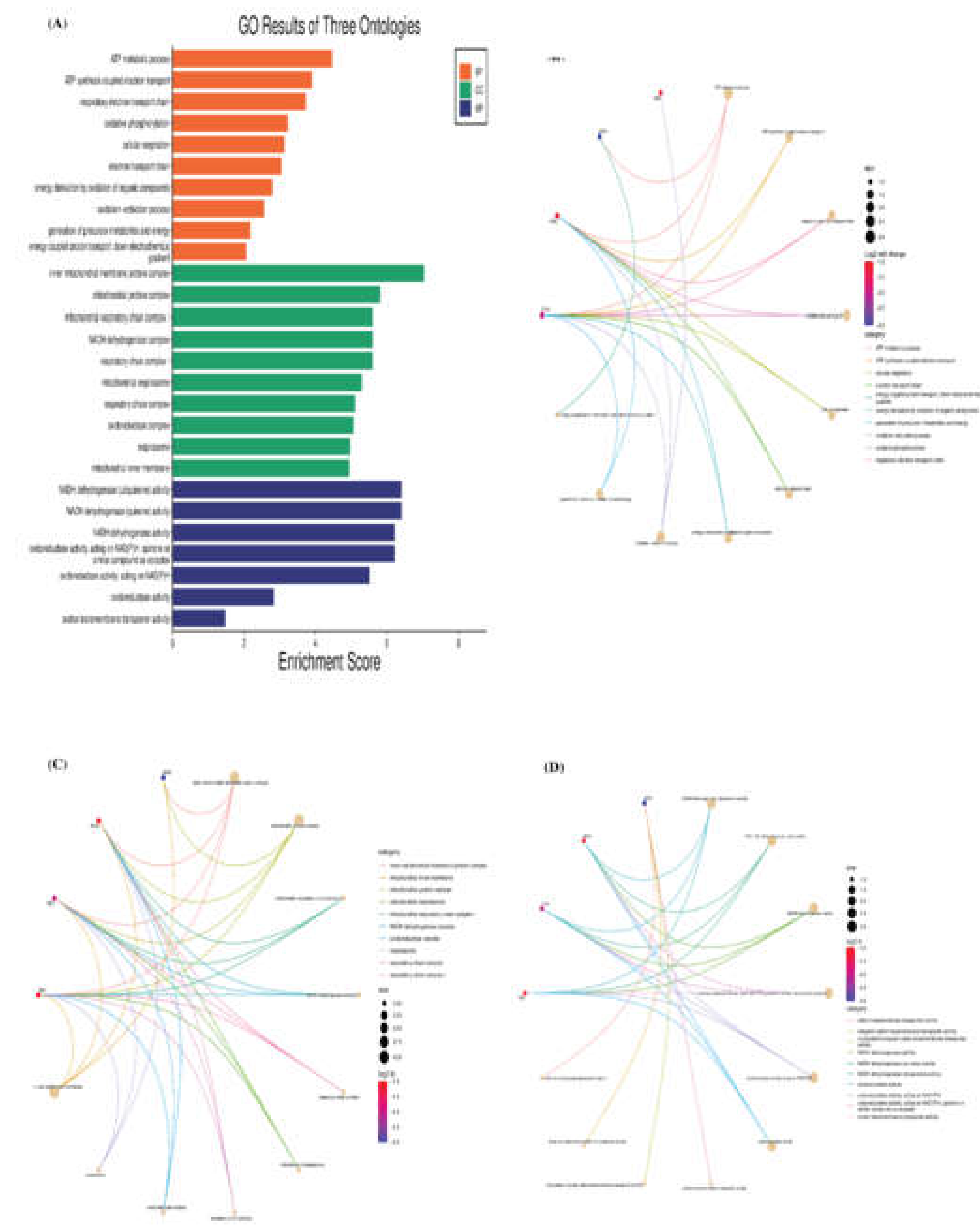 Preprints 105605 g005