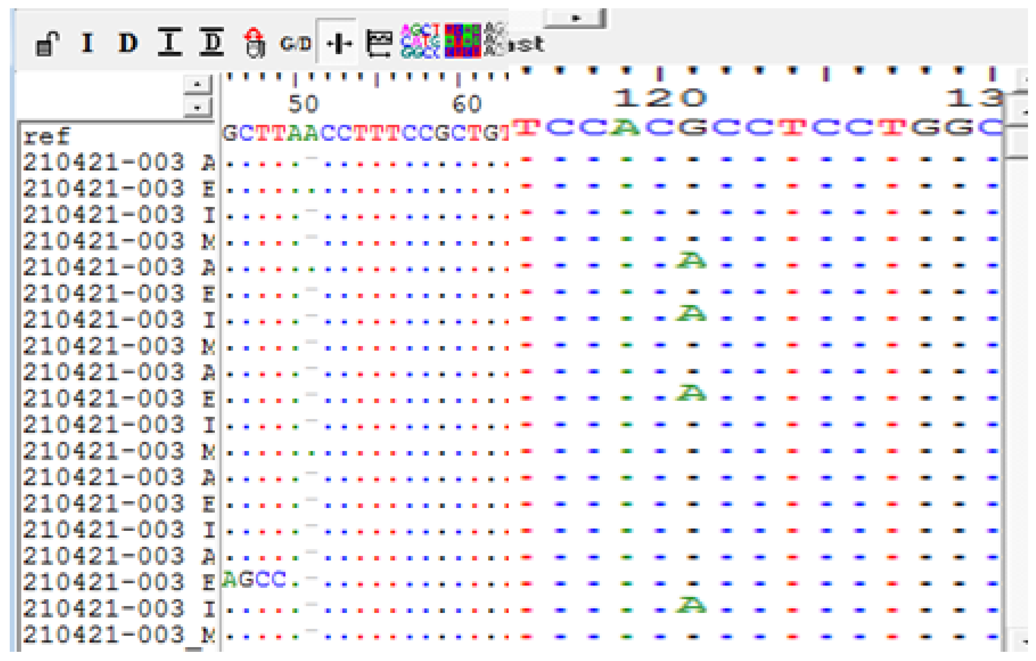 Preprints 118271 g008