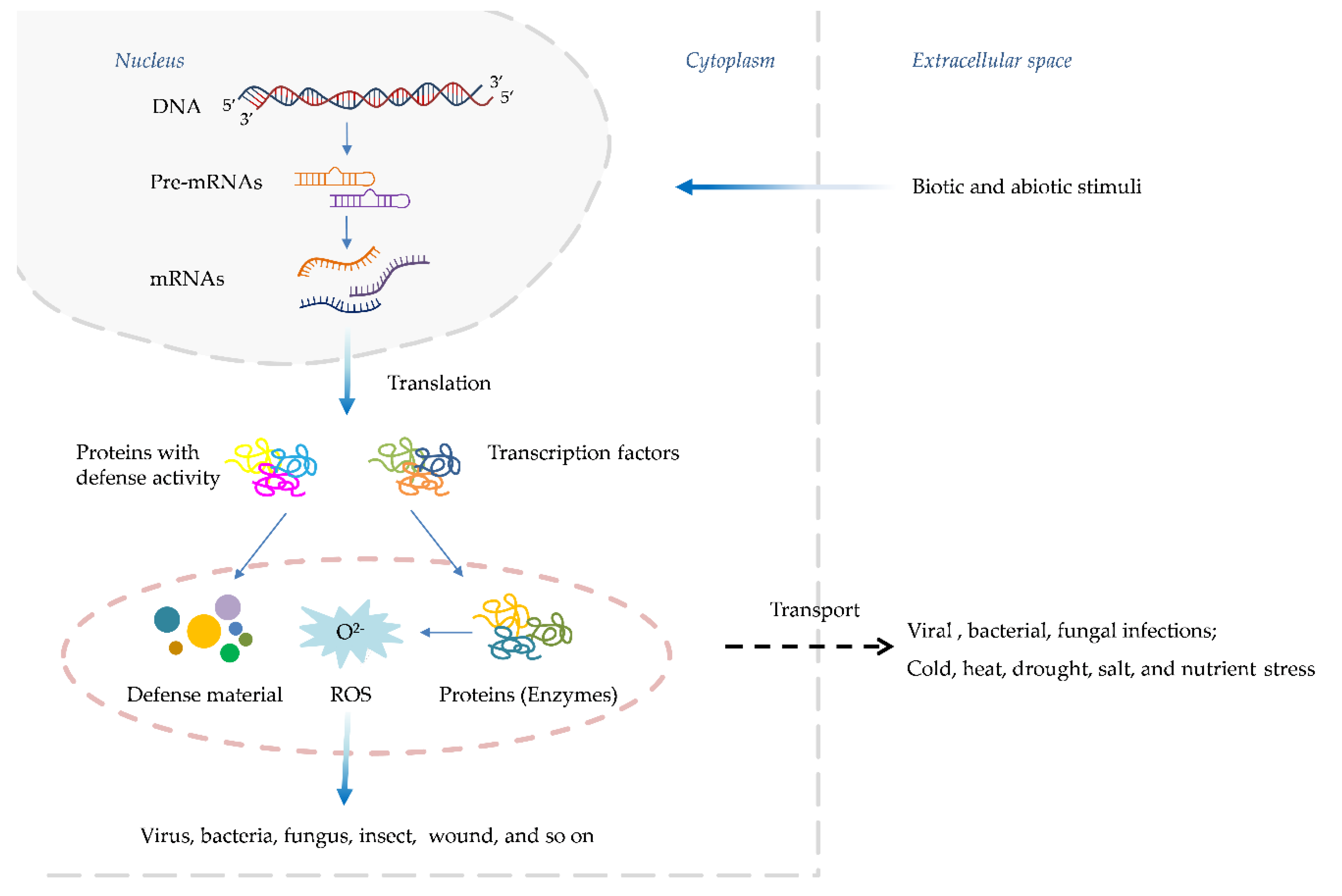 Preprints 112449 g001