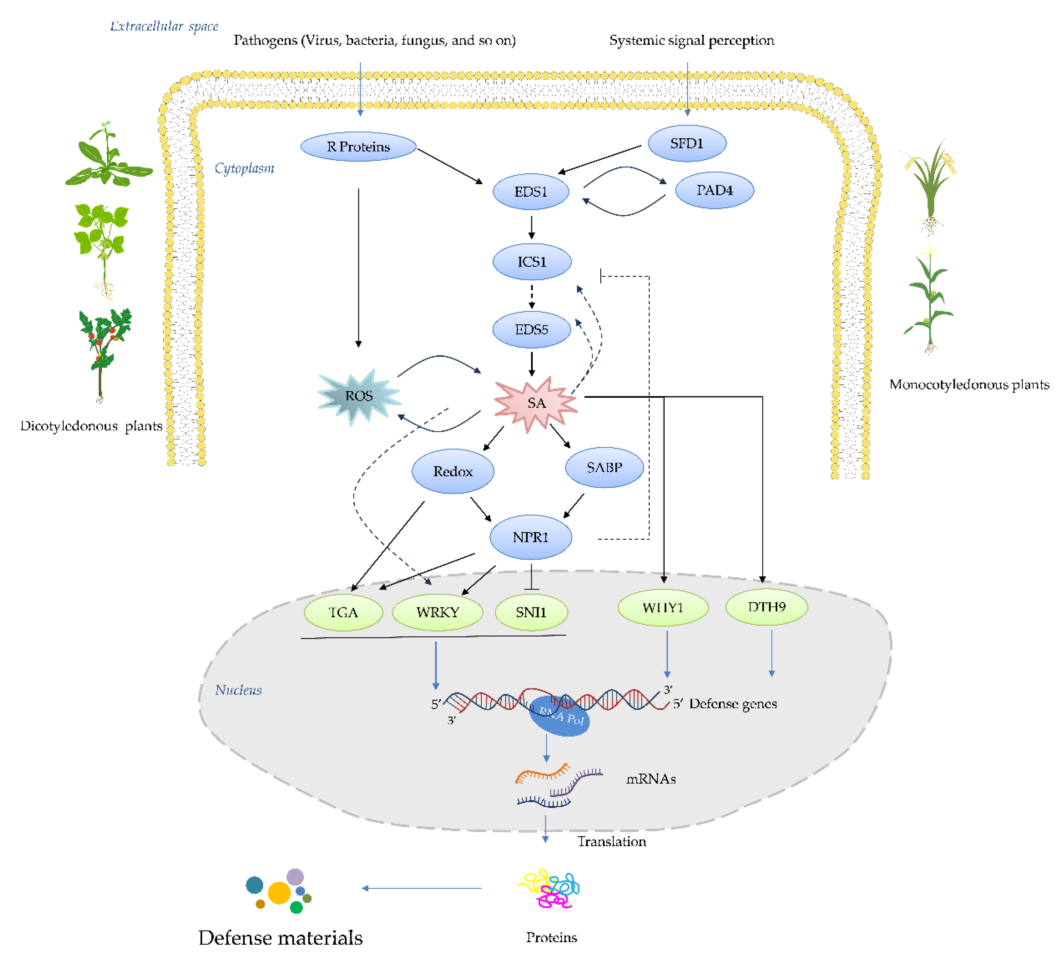 Preprints 112449 g002