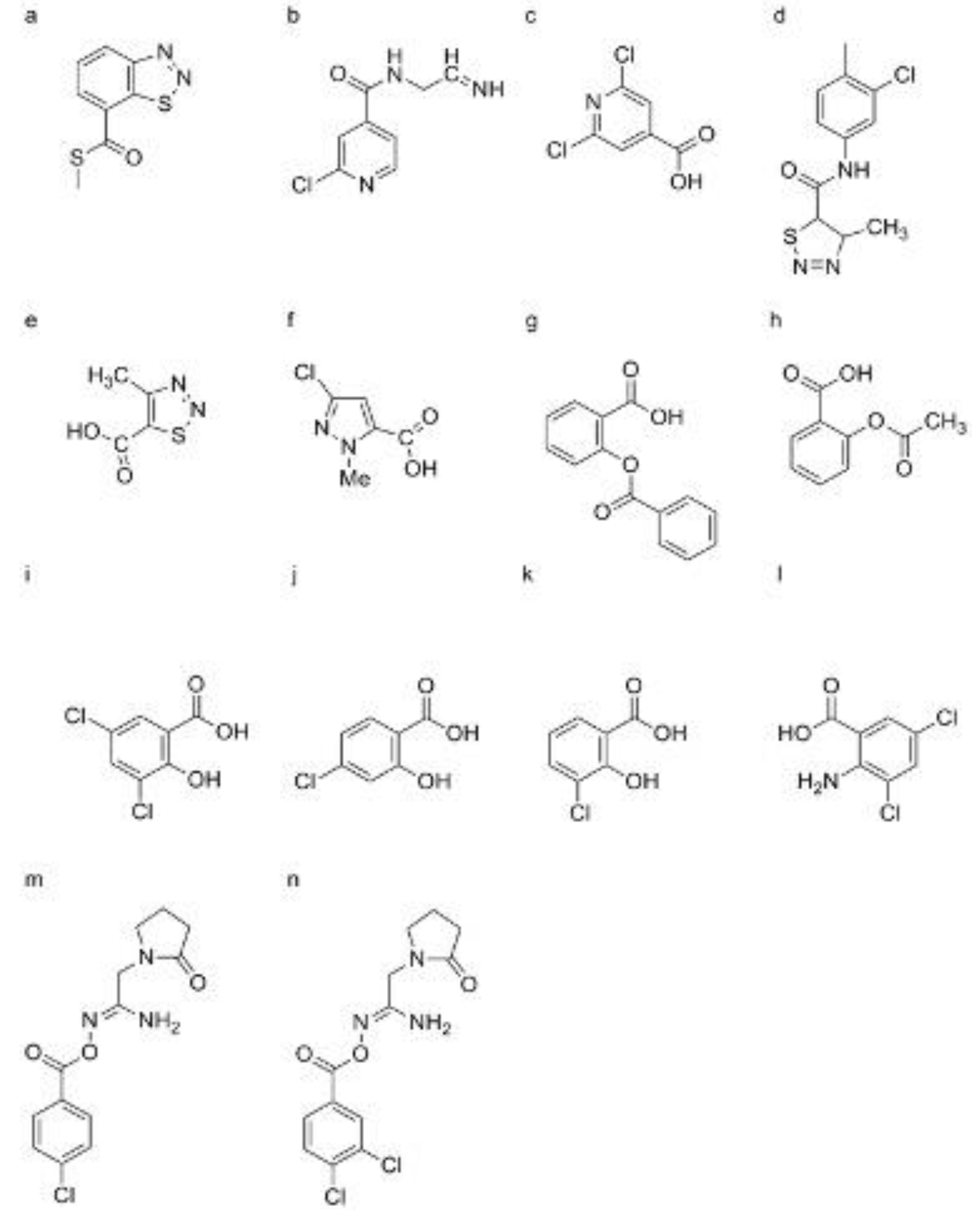 Preprints 112449 g005