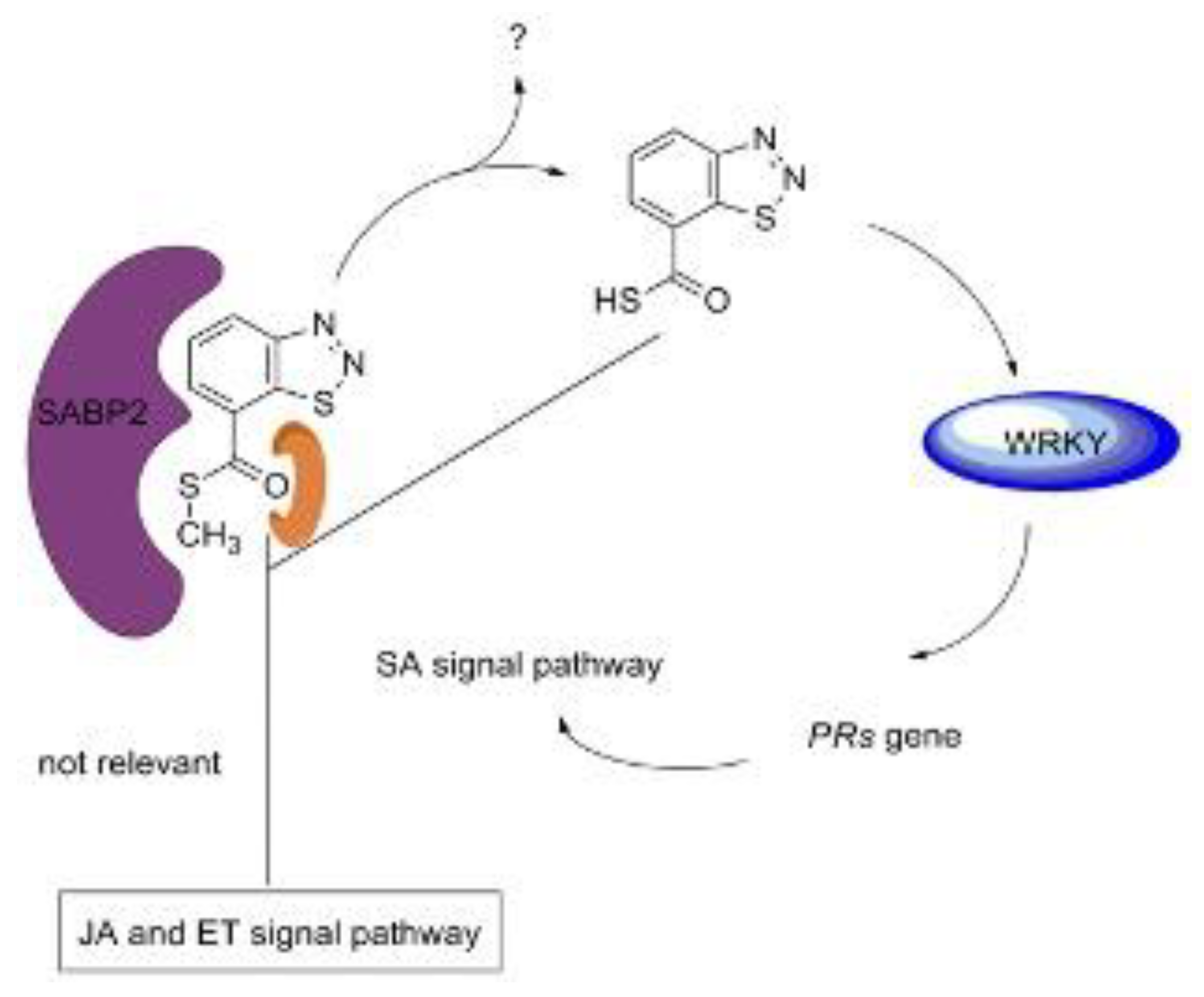 Preprints 112449 g006