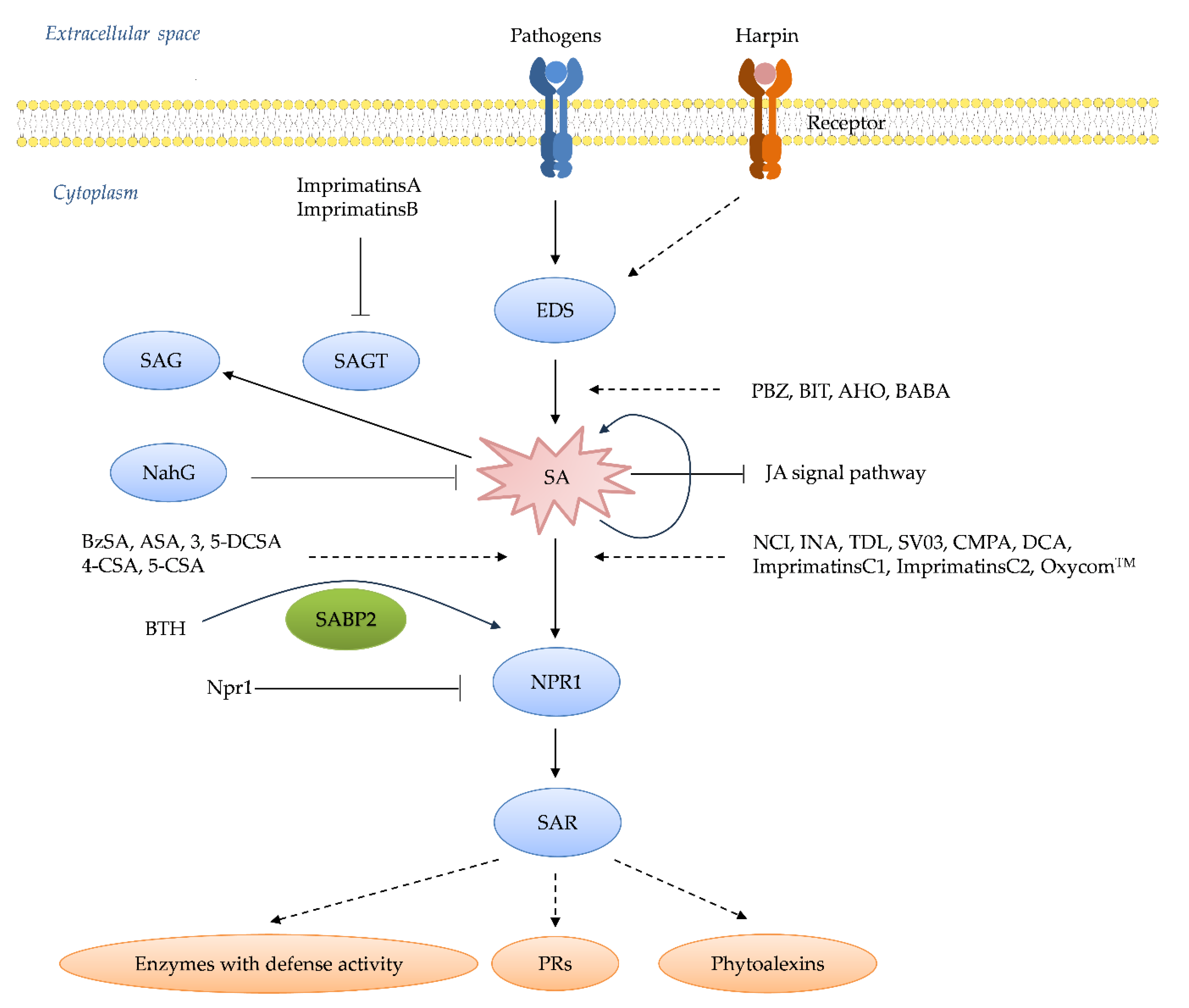 Preprints 112449 g007