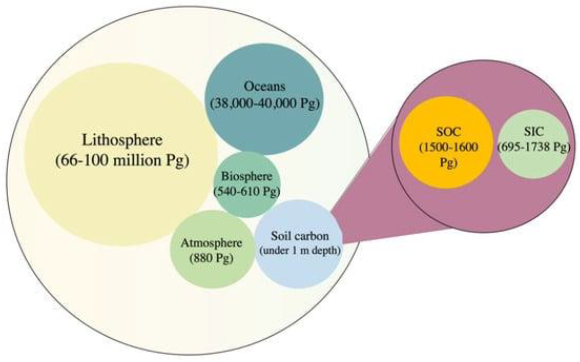 Preprints 119779 g005