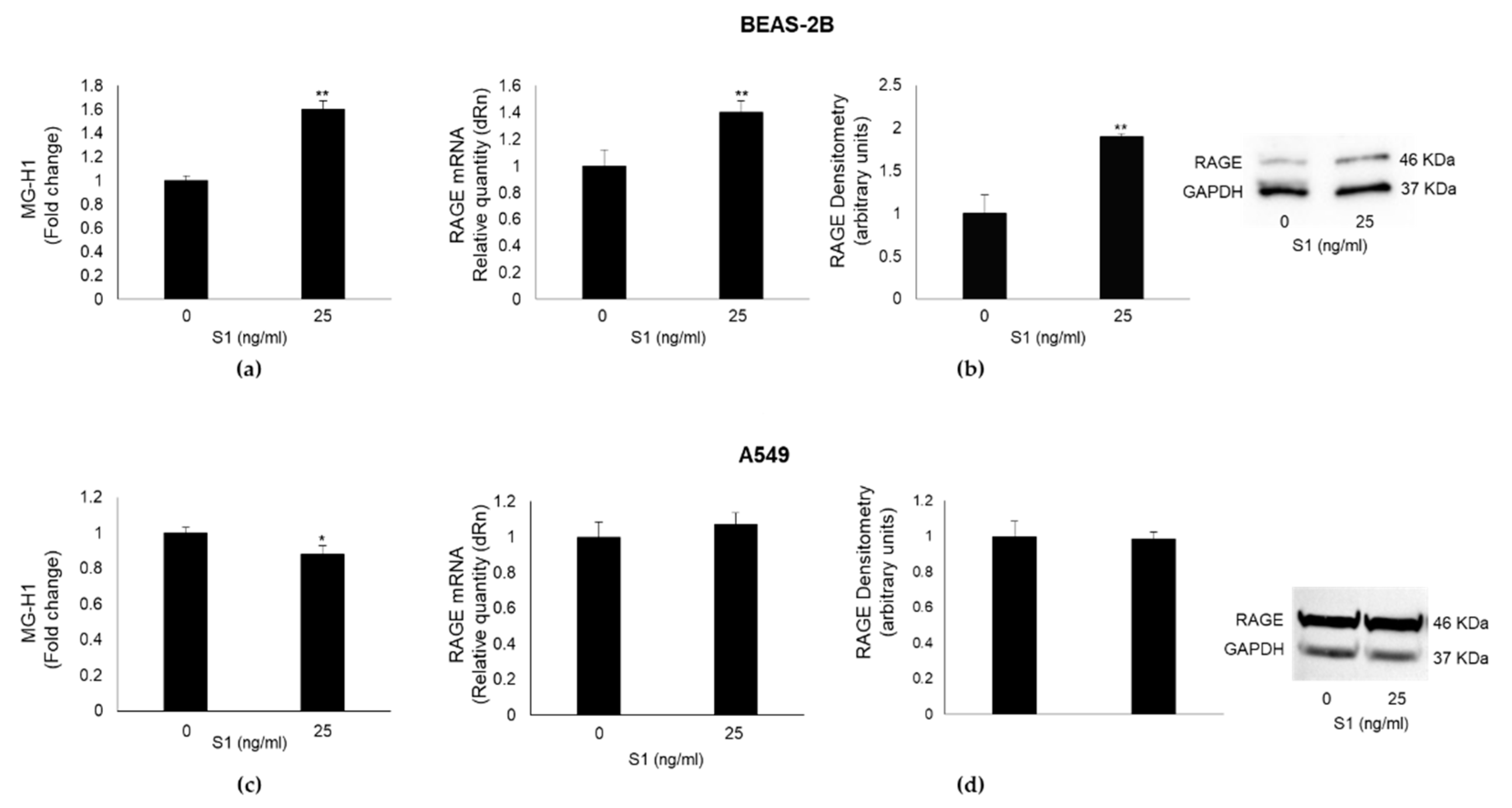 Preprints 83607 g003