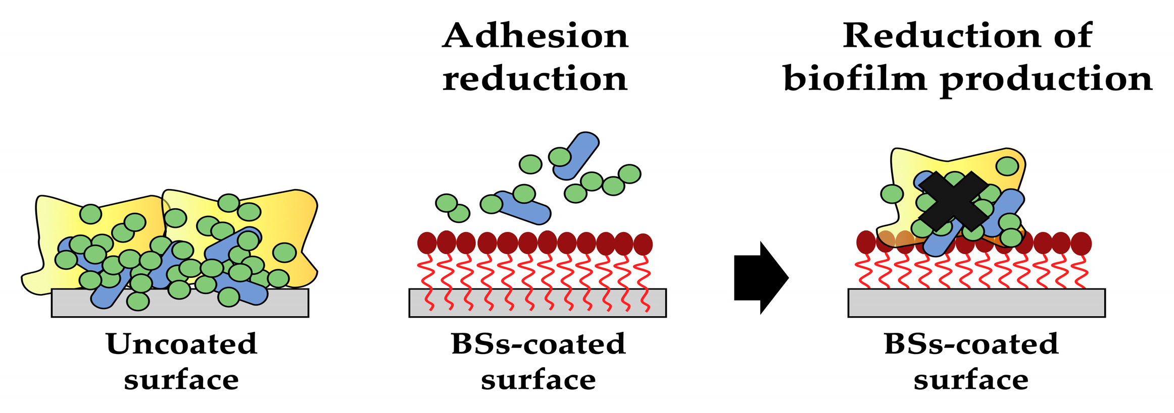 Preprints 79668 g005