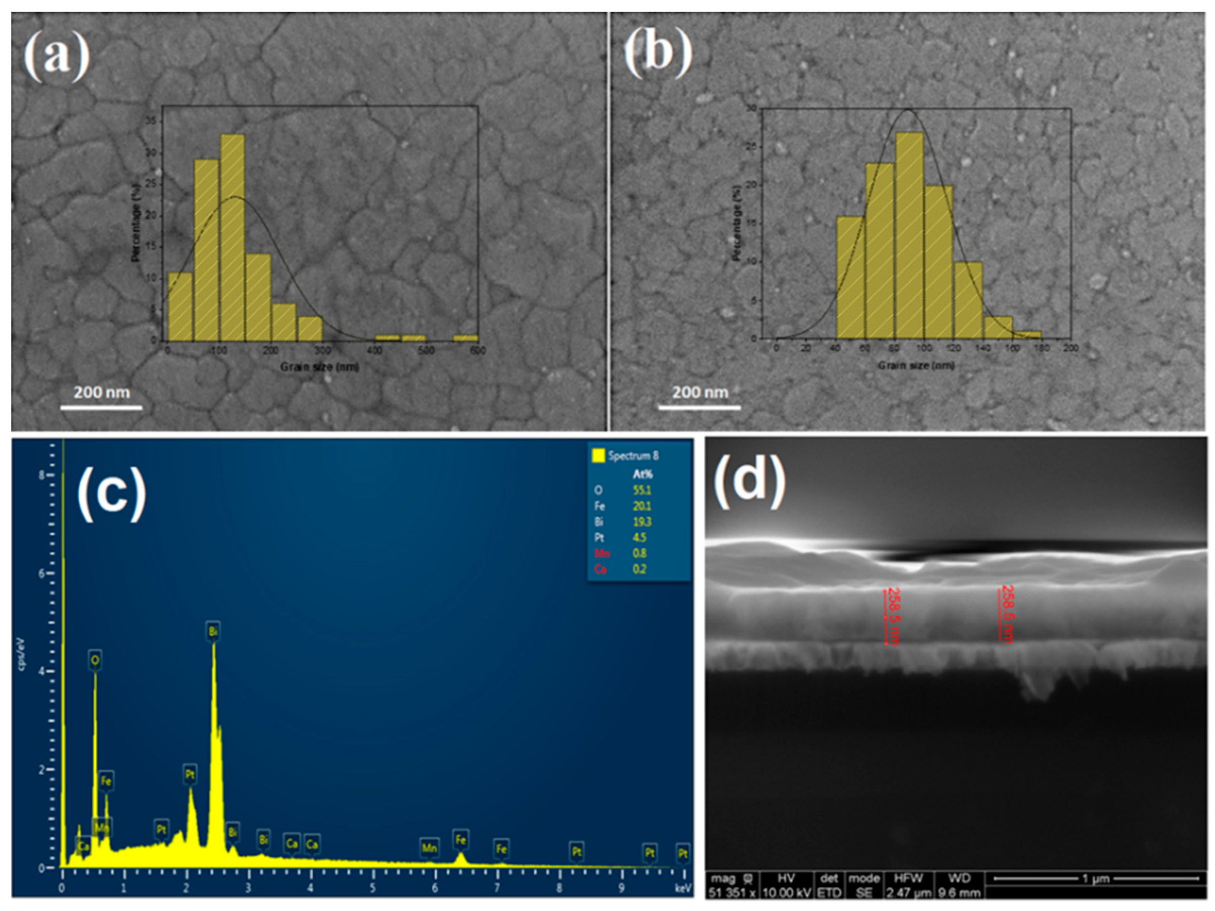 Preprints 87934 g001