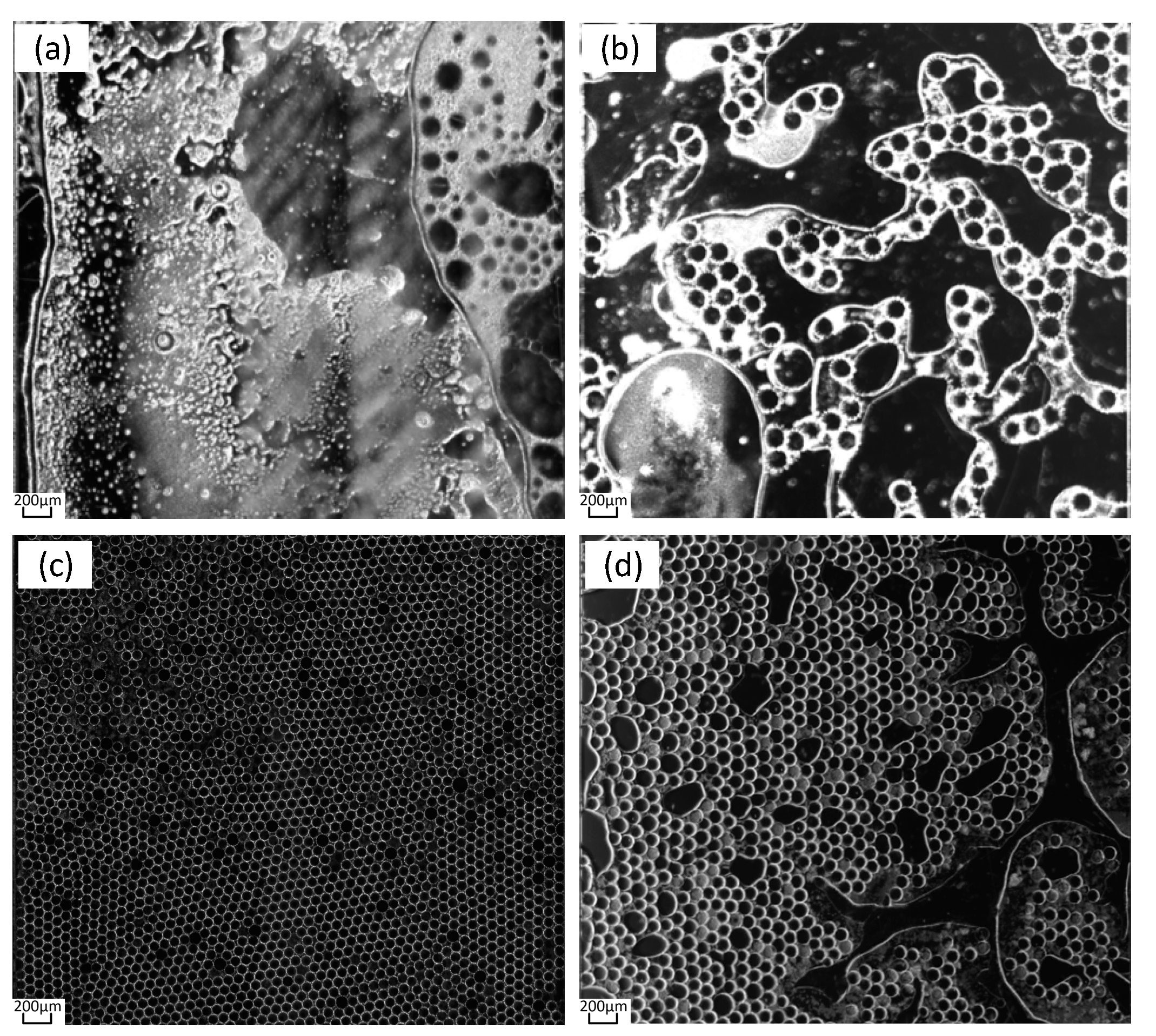 Preprints 74956 g009