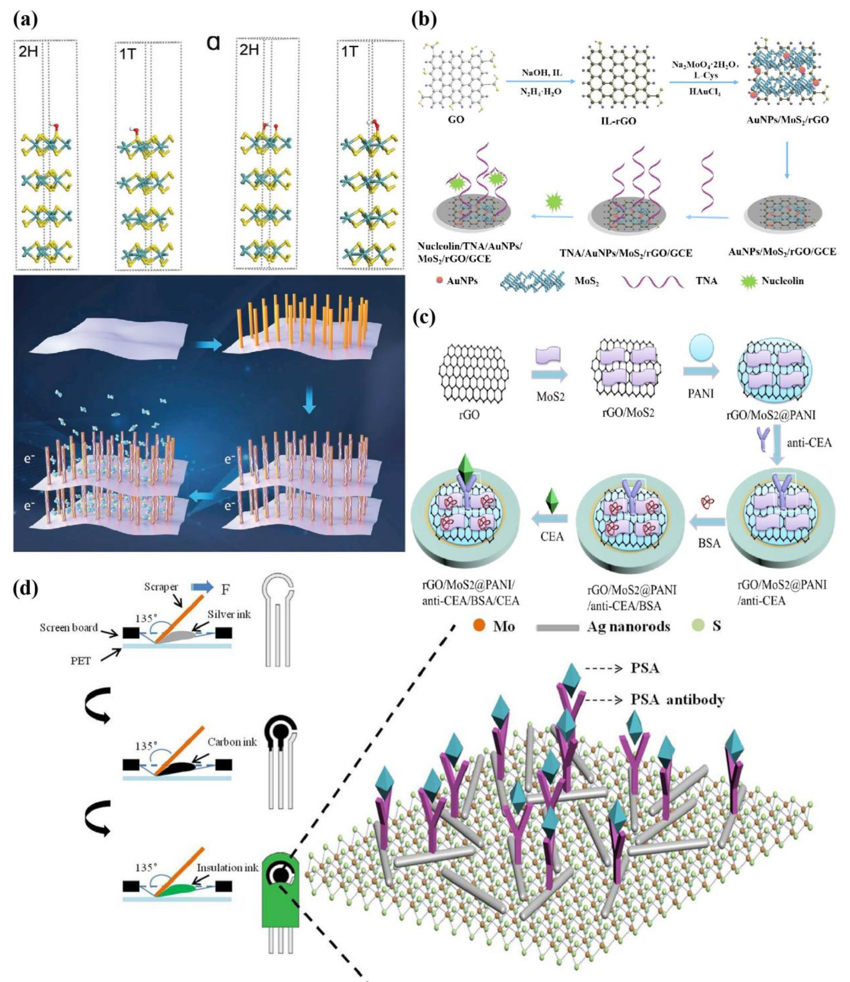 Preprints 80758 g003