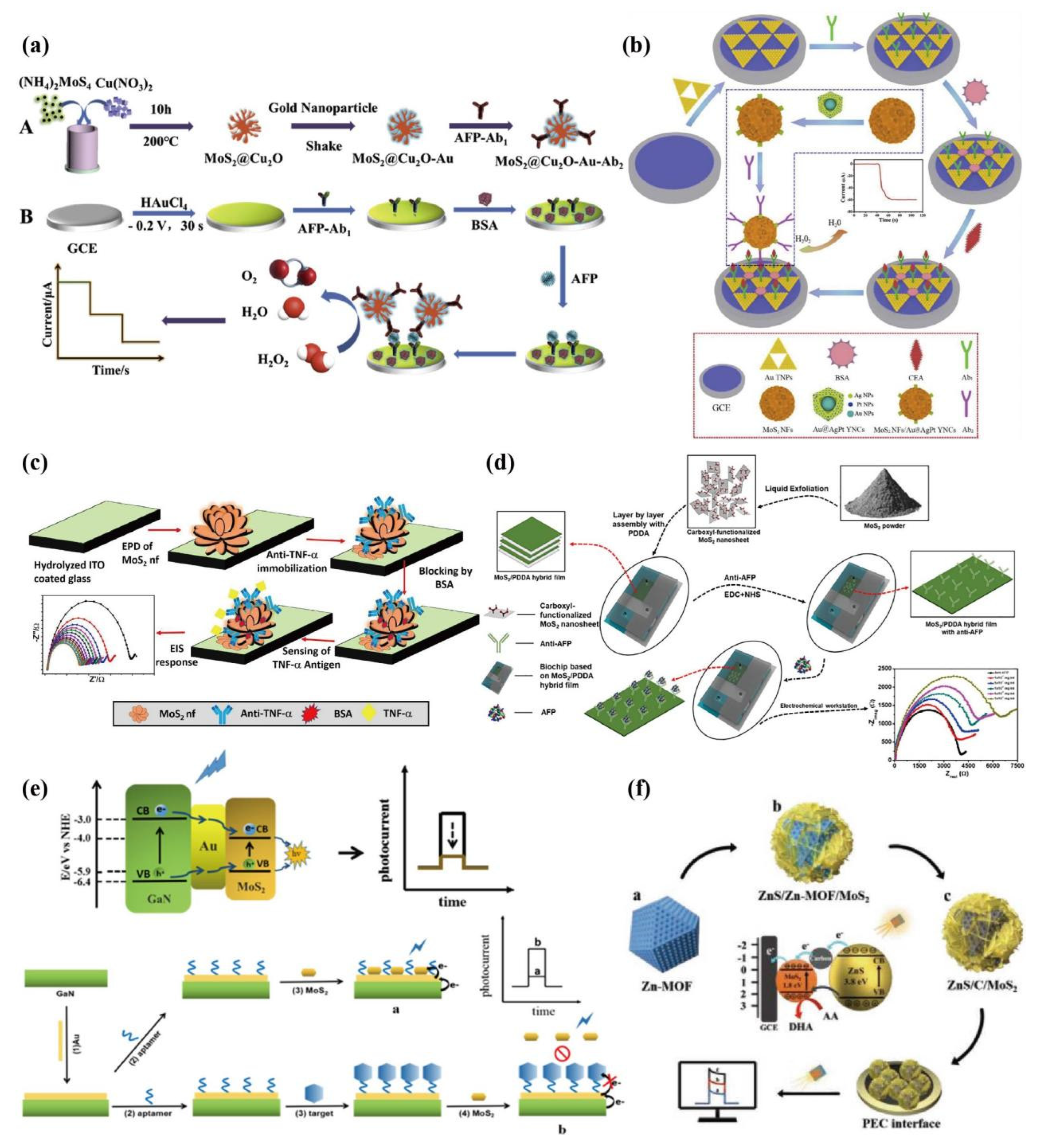 Preprints 80758 g004