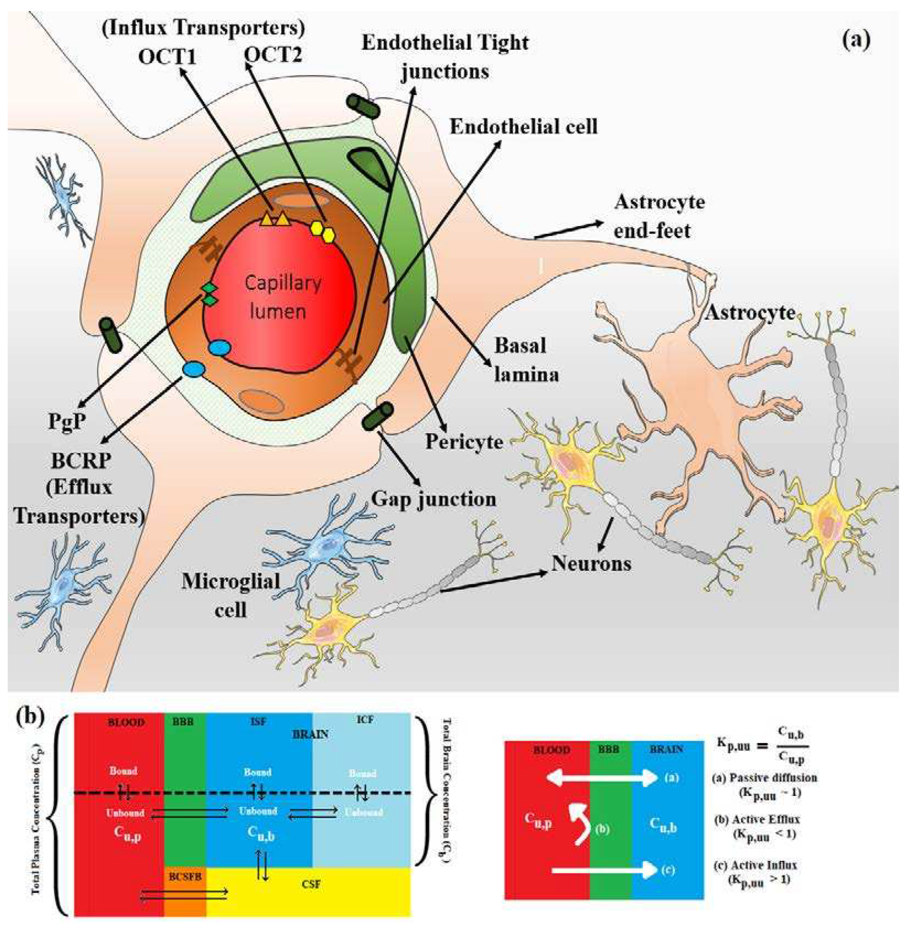 Preprints 96766 g001