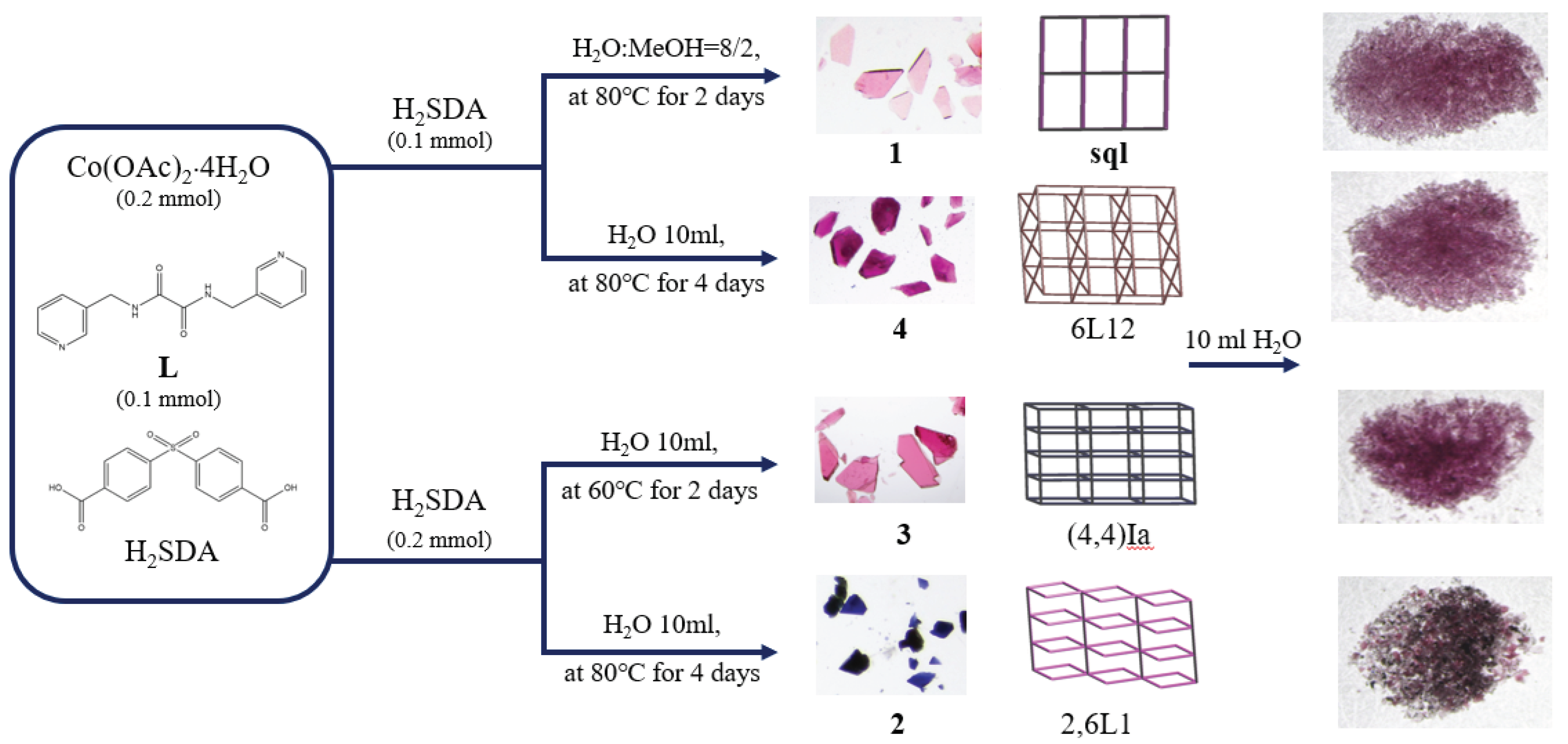 Preprints 100587 g007