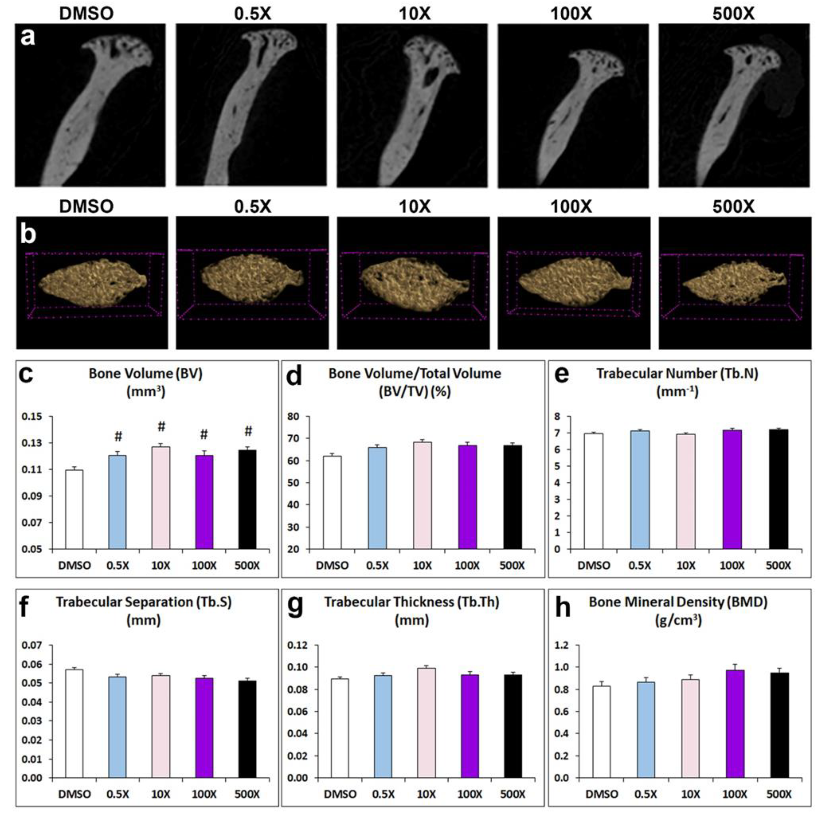 Preprints 117847 g003