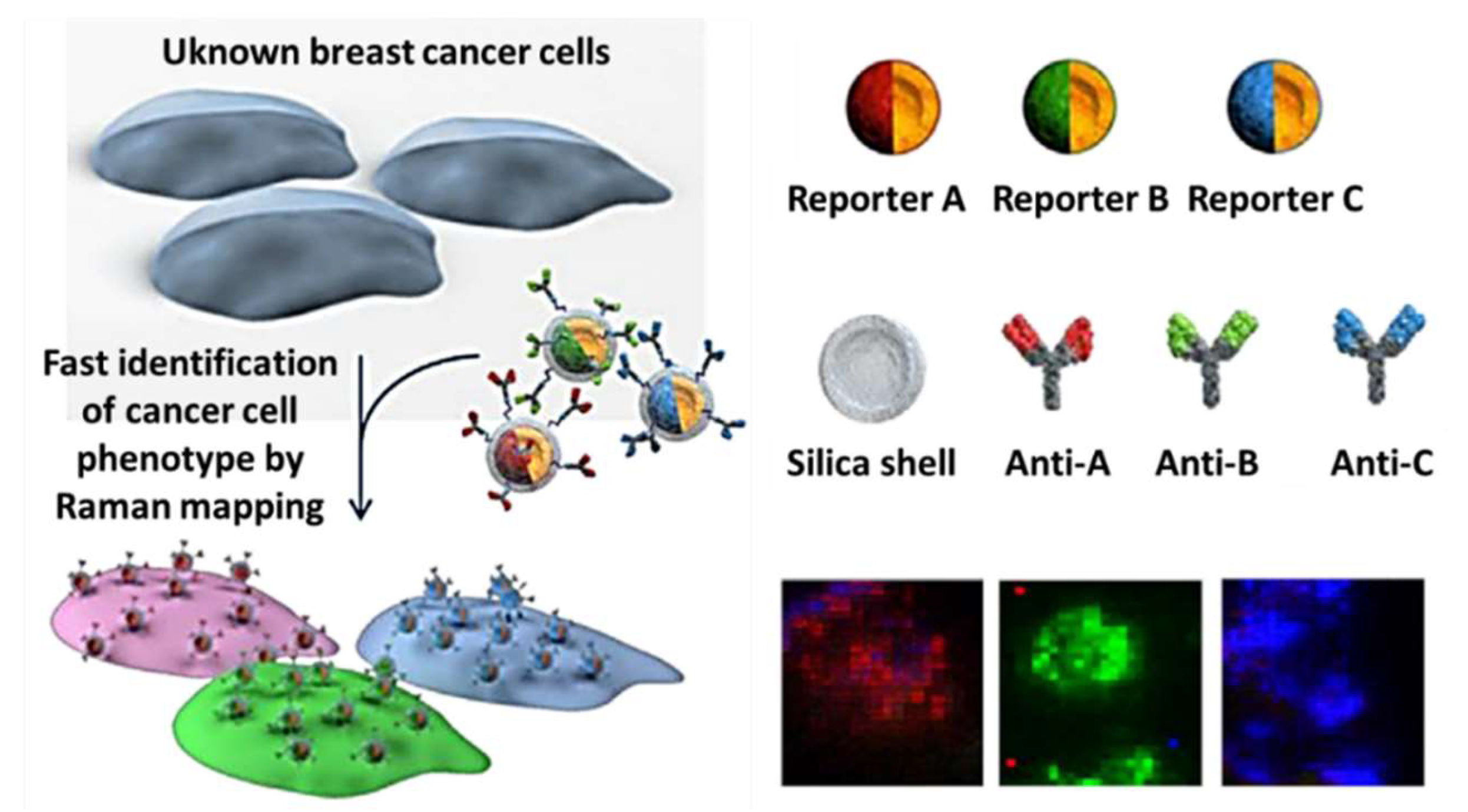 Preprints 112866 g009