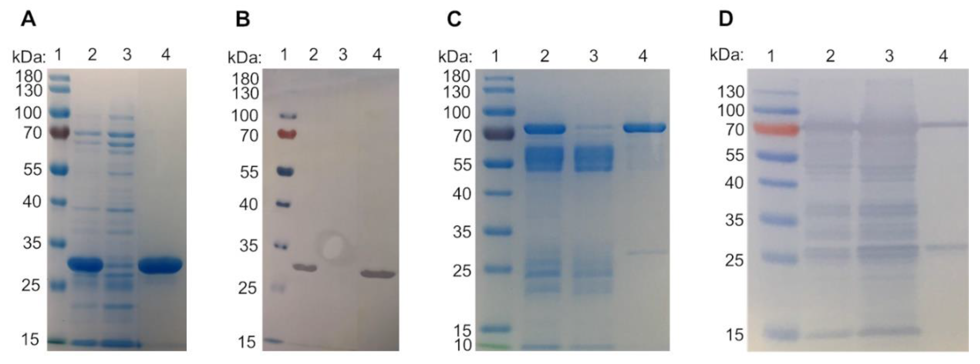 Preprints 67286 g002