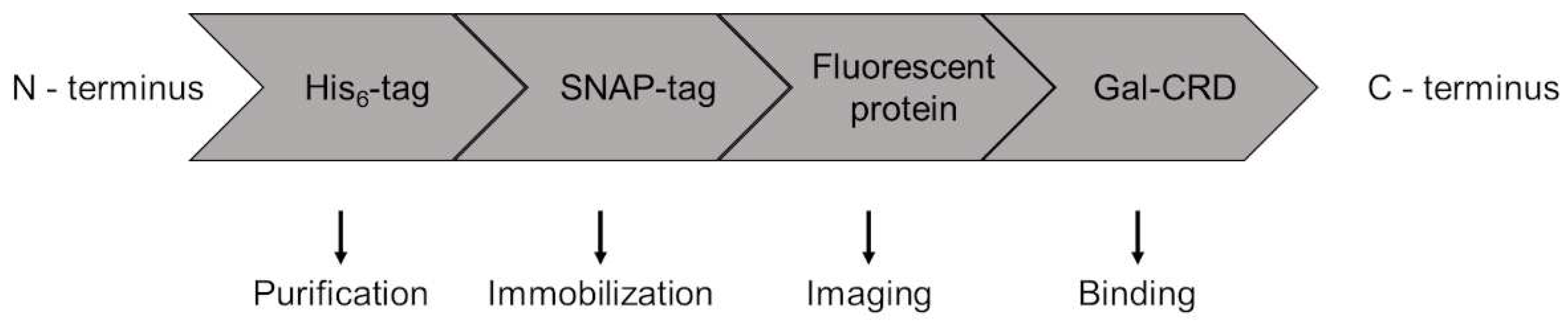 Preprints 67286 sch001