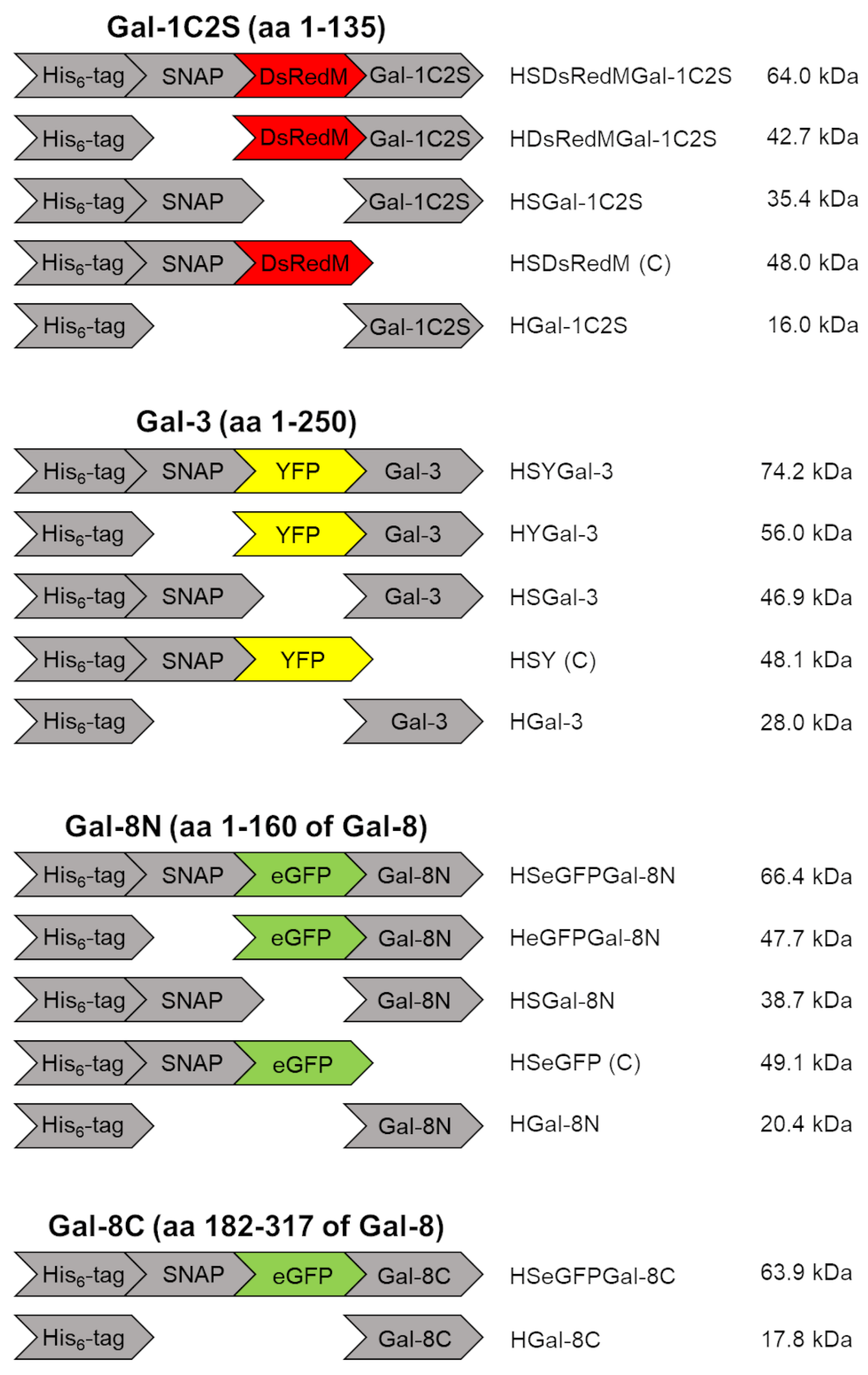 Preprints 67286 sch002