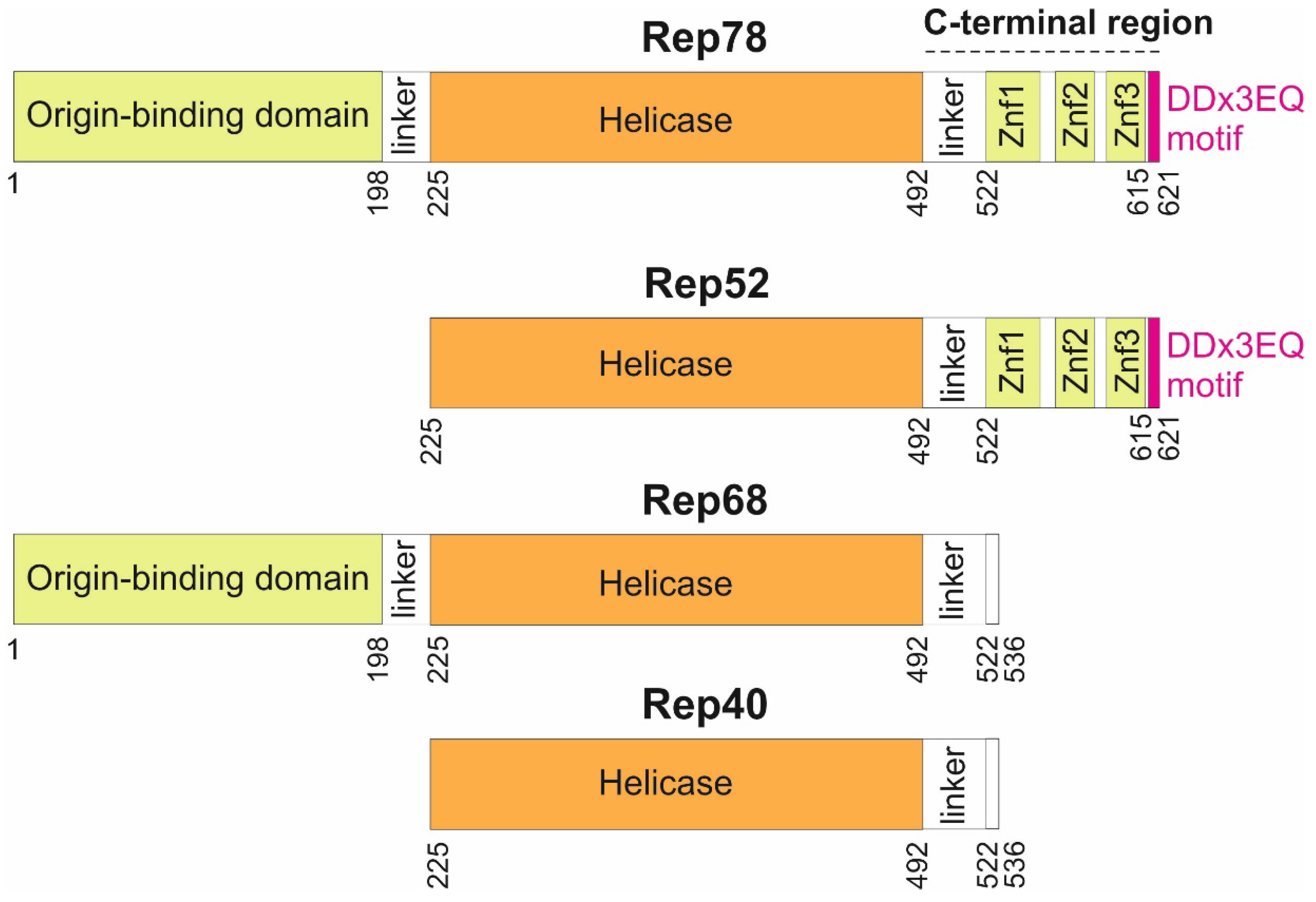 Preprints 122142 g001