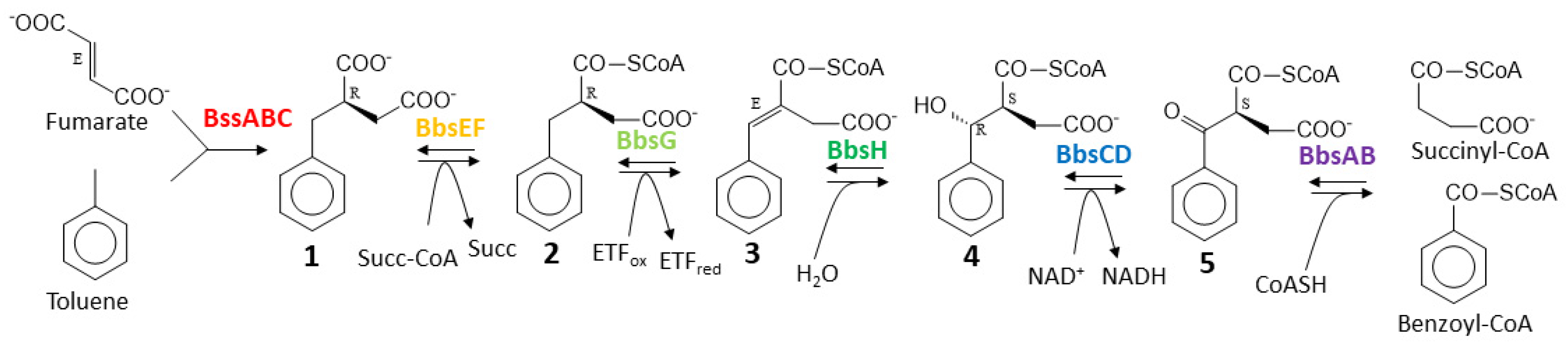 Preprints 92385 g001