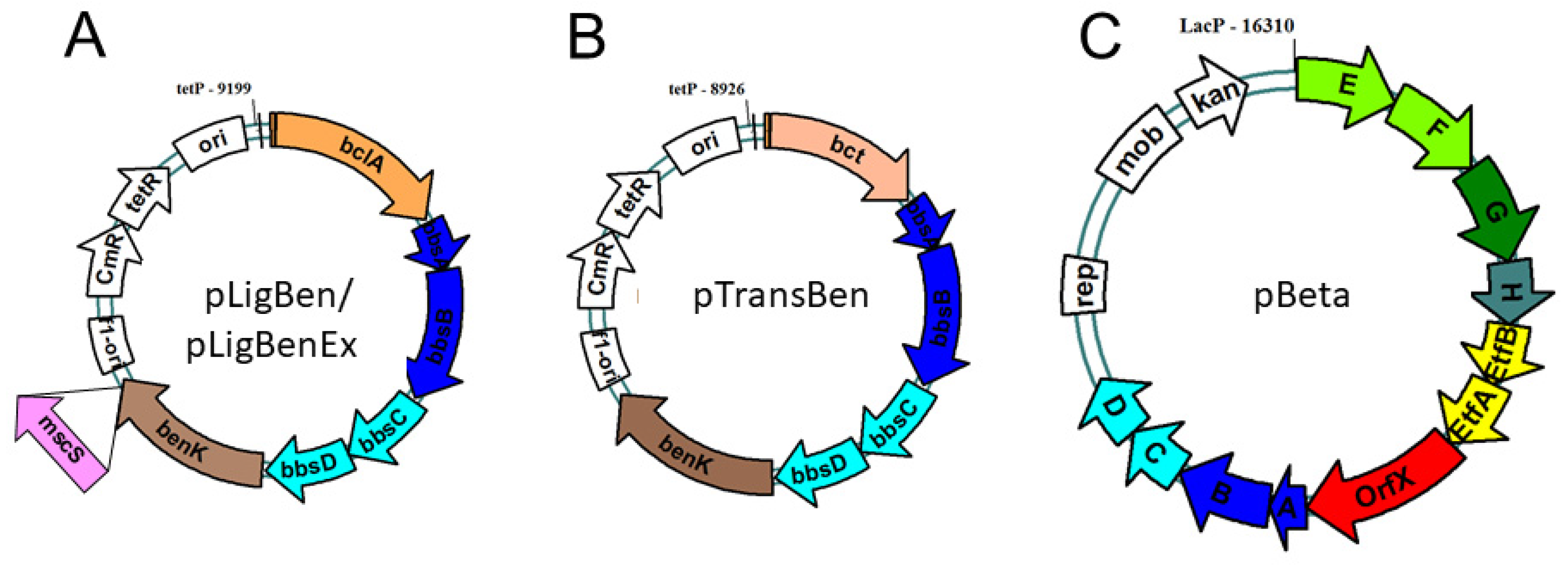 Preprints 92385 g004