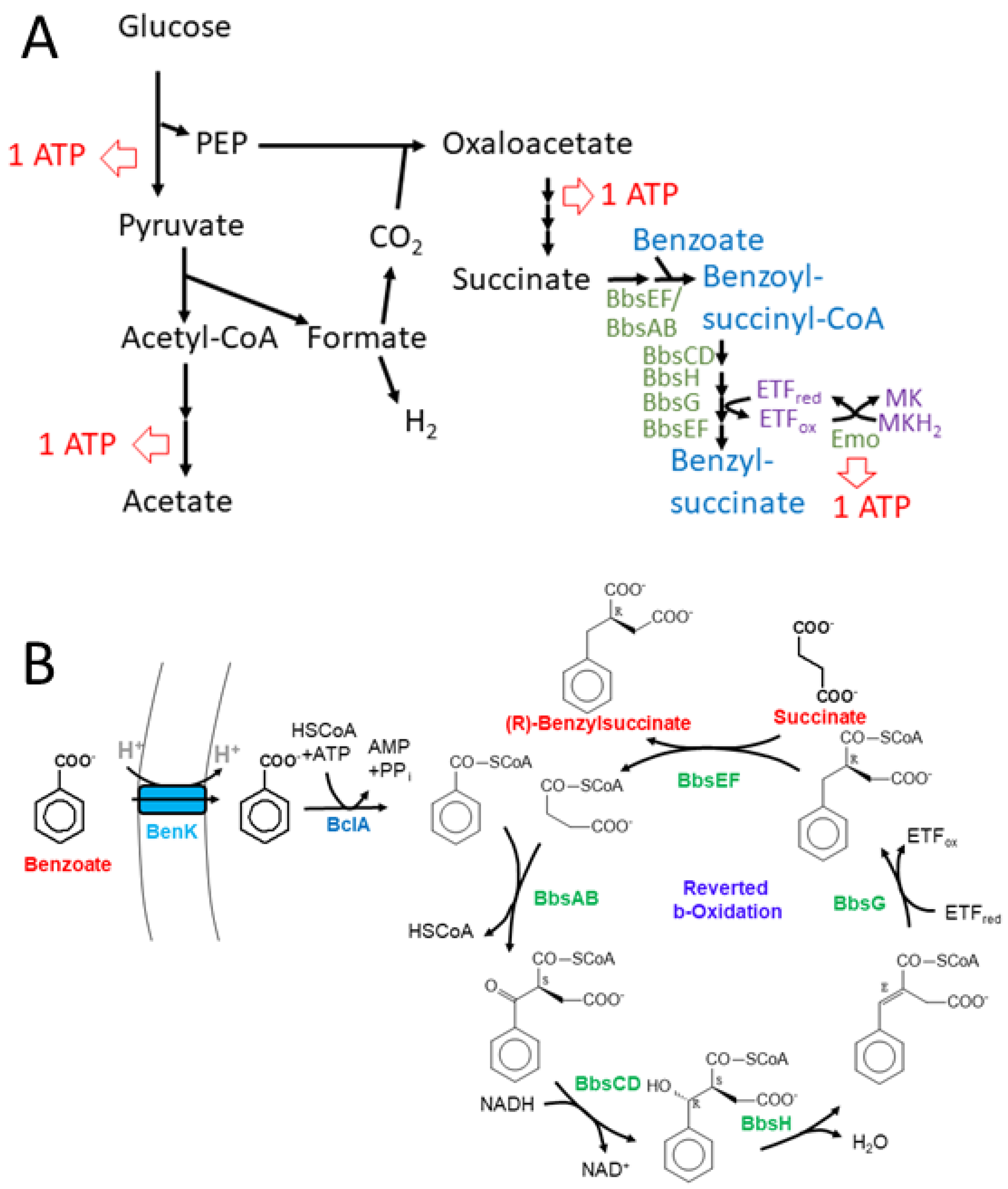 Preprints 92385 g007