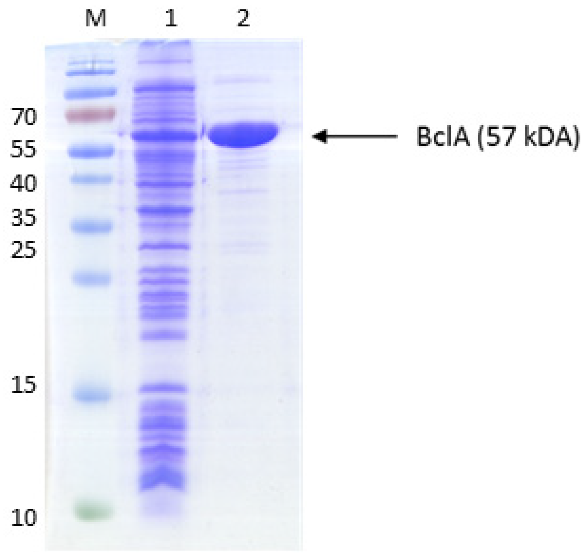 Preprints 92385 g0a1