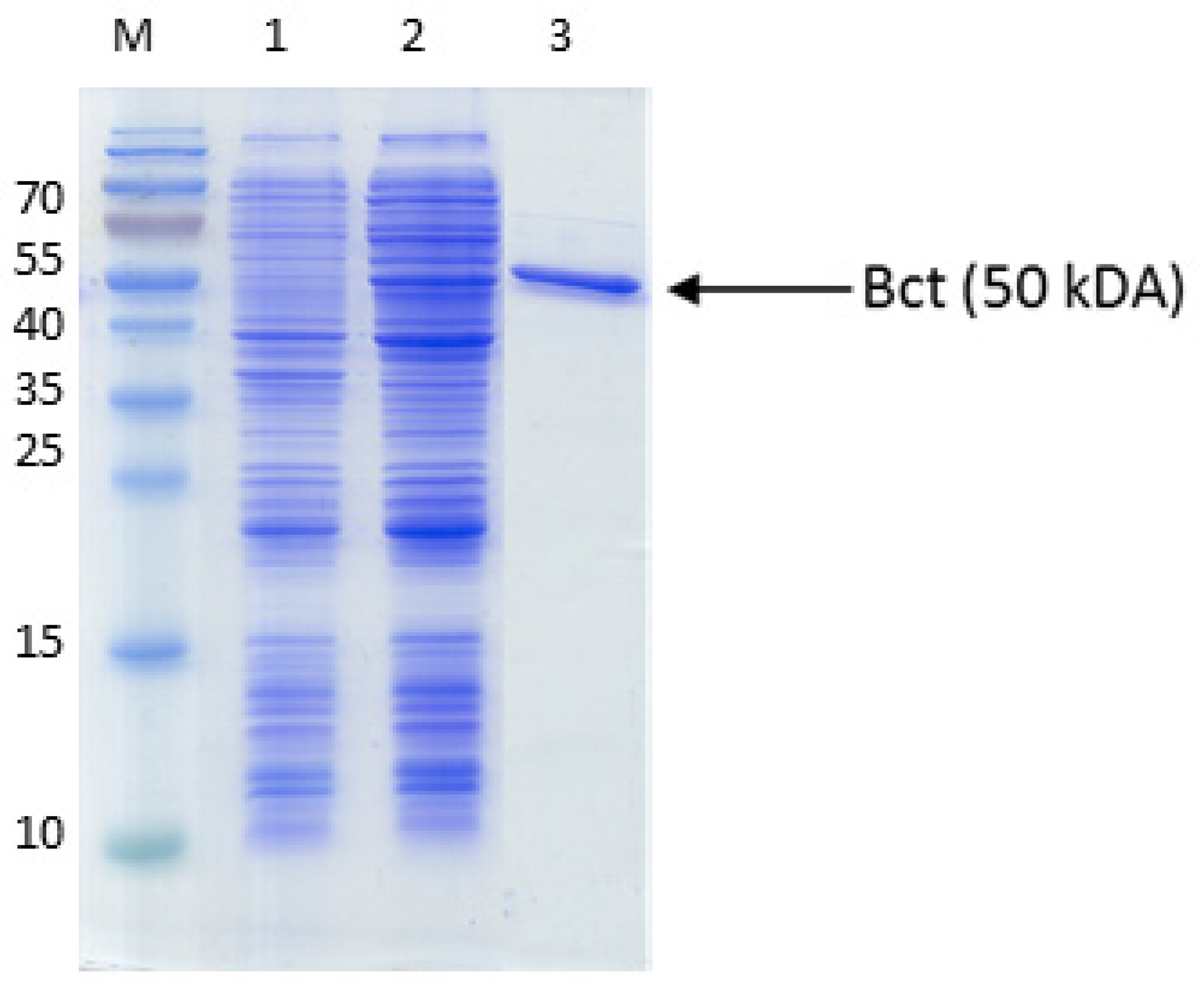 Preprints 92385 g0a2