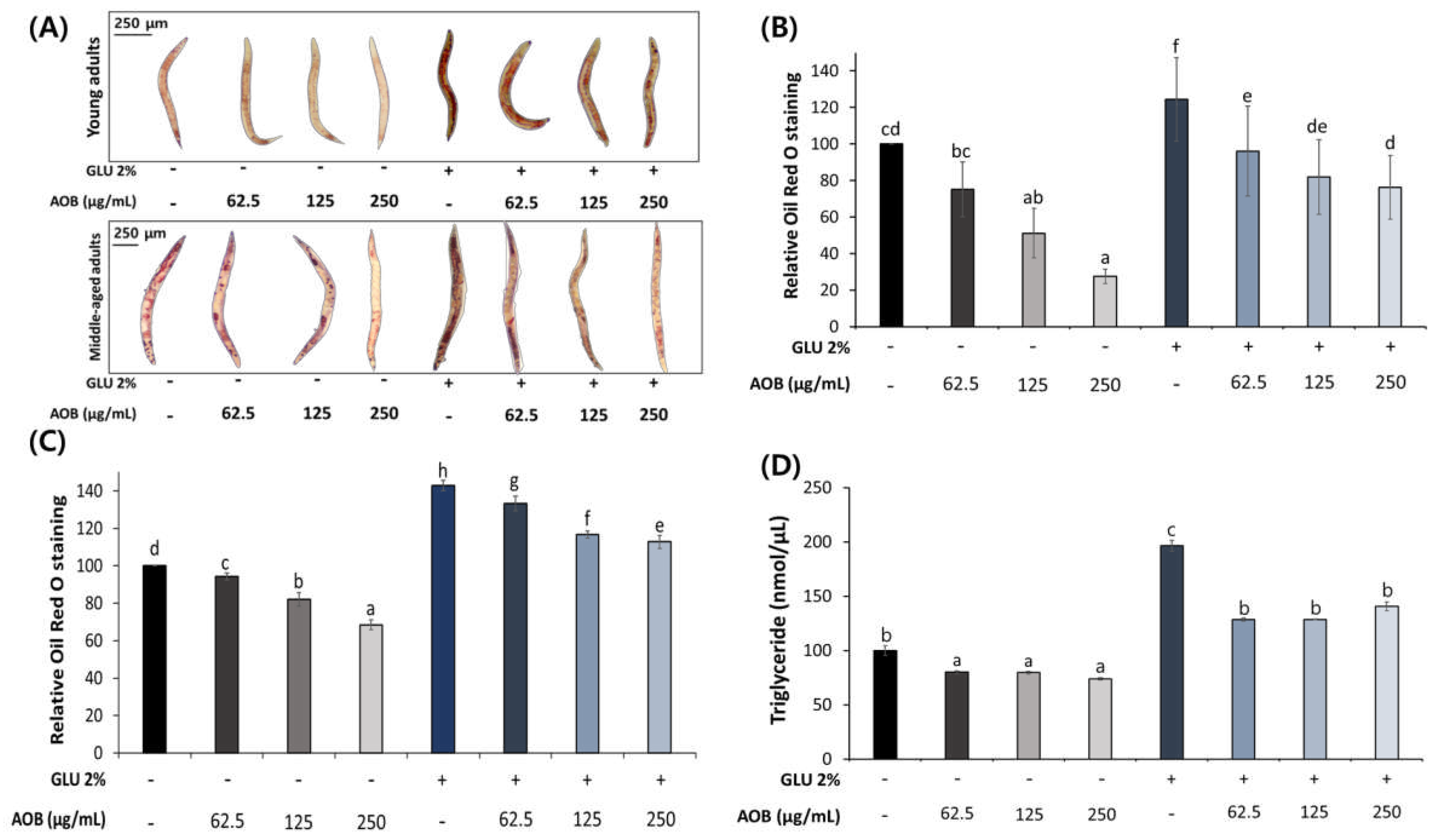 Preprints 95565 g003