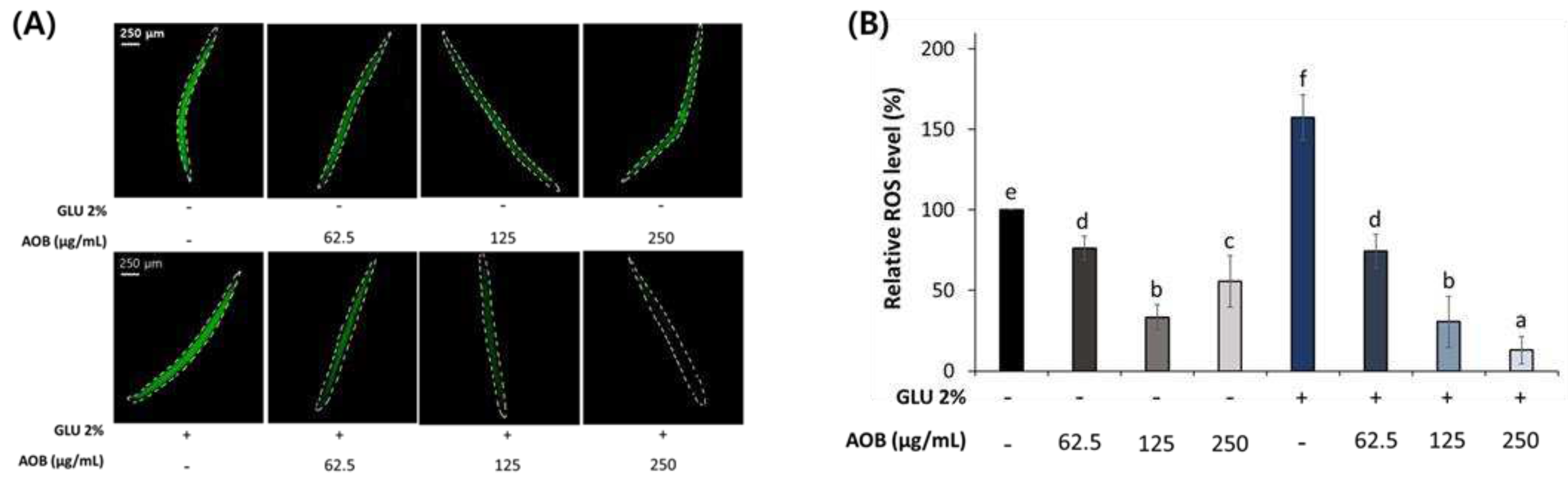 Preprints 95565 g004