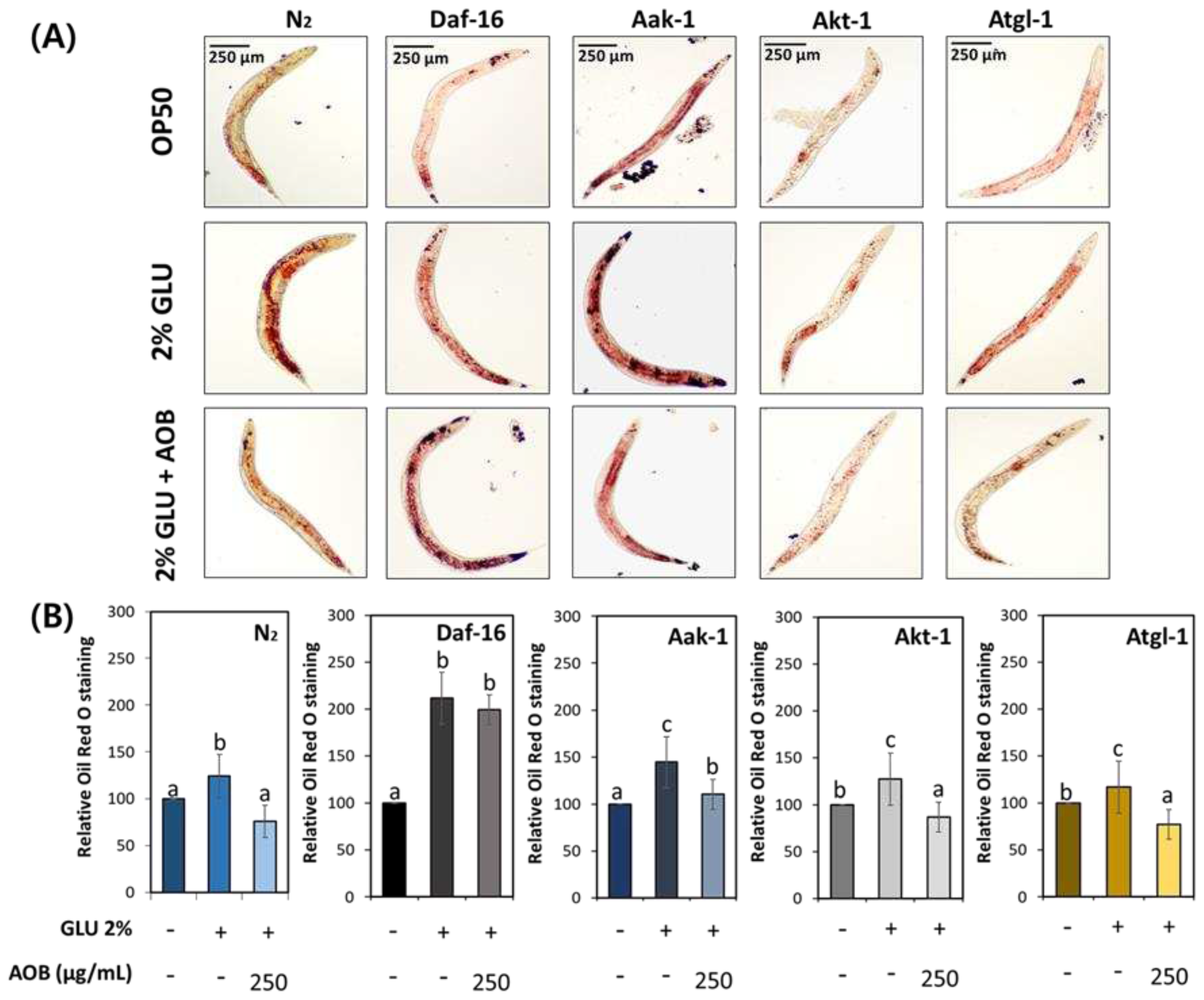 Preprints 95565 g006