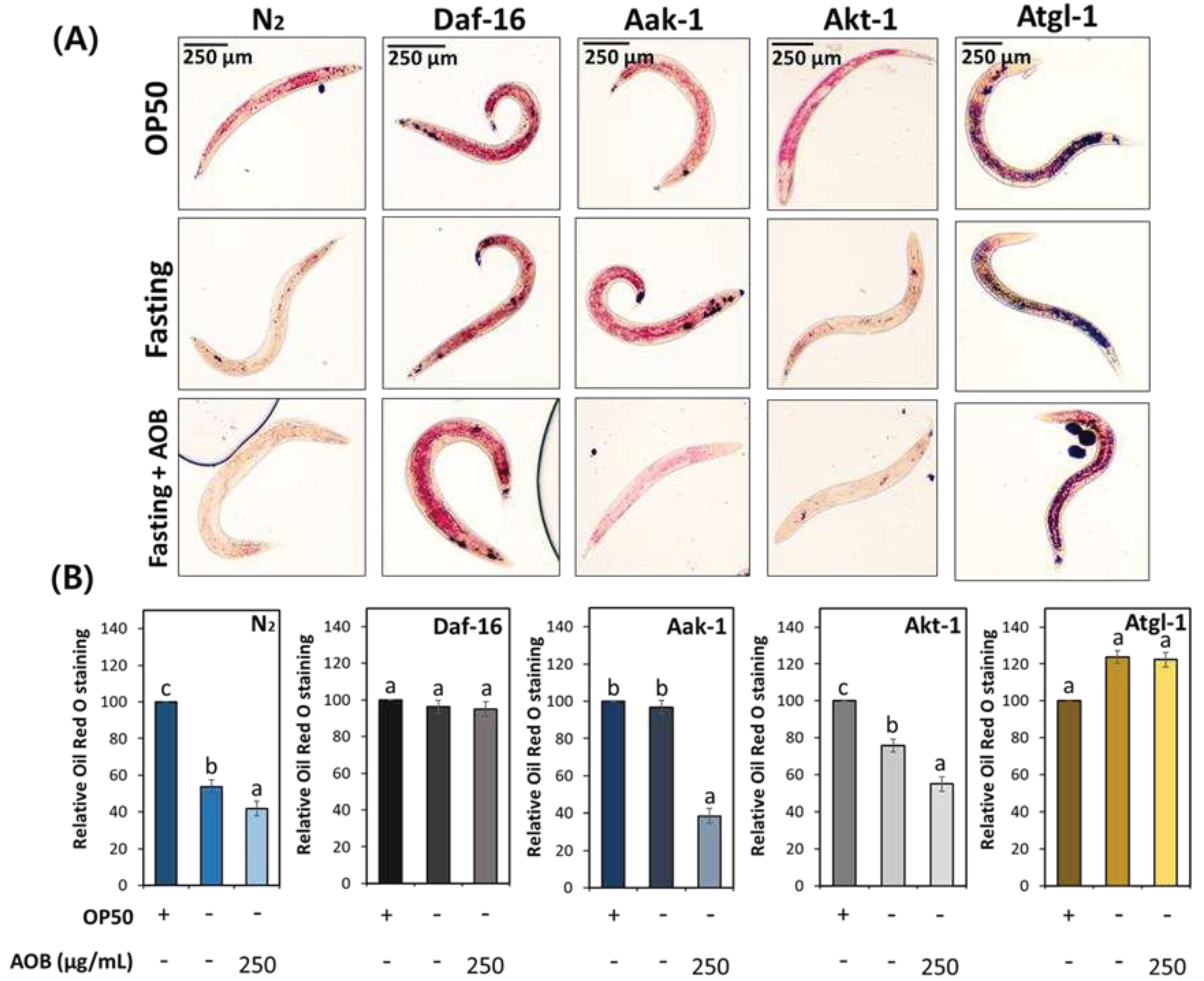 Preprints 95565 g007