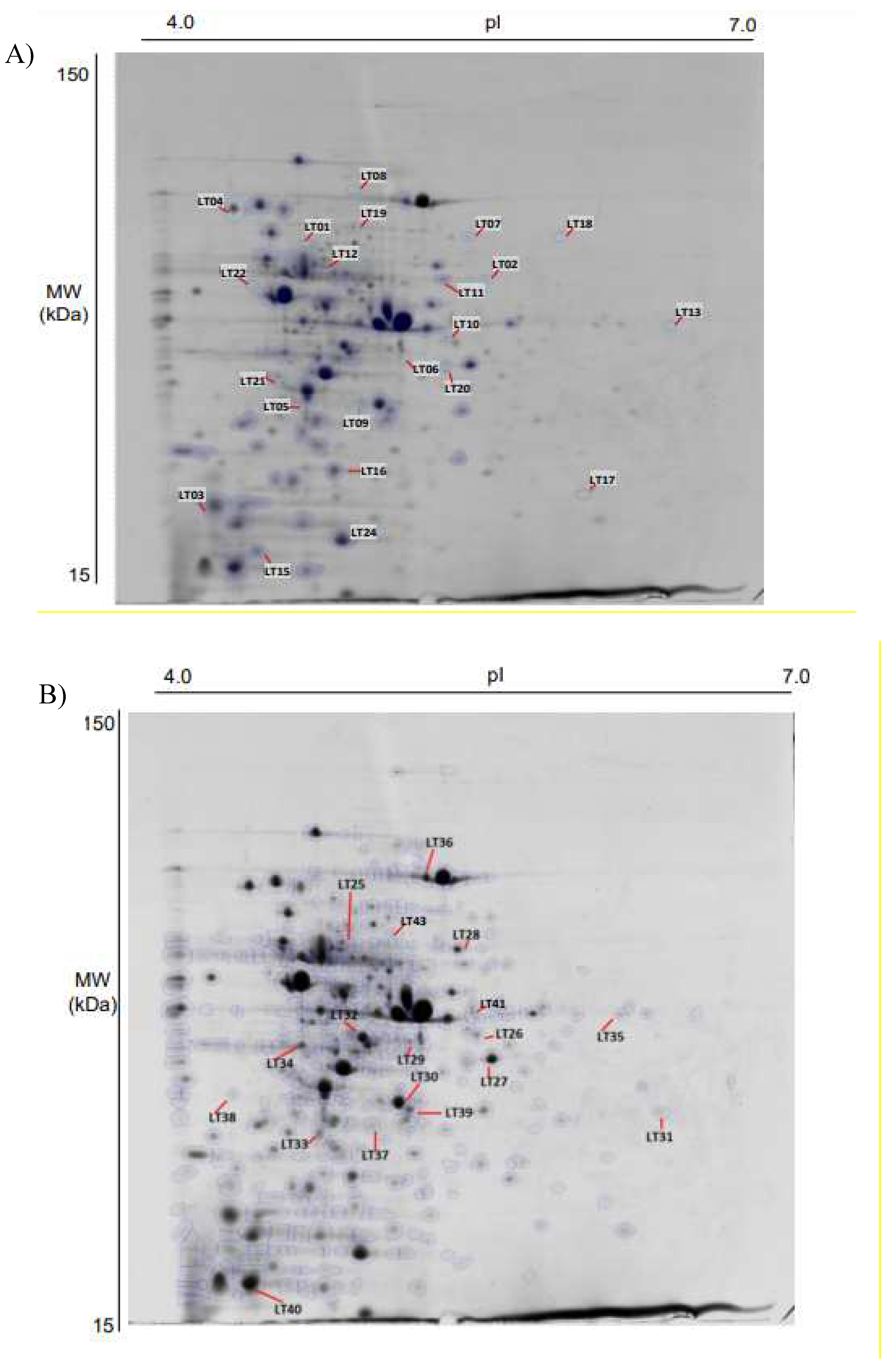 Preprints 83782 g003