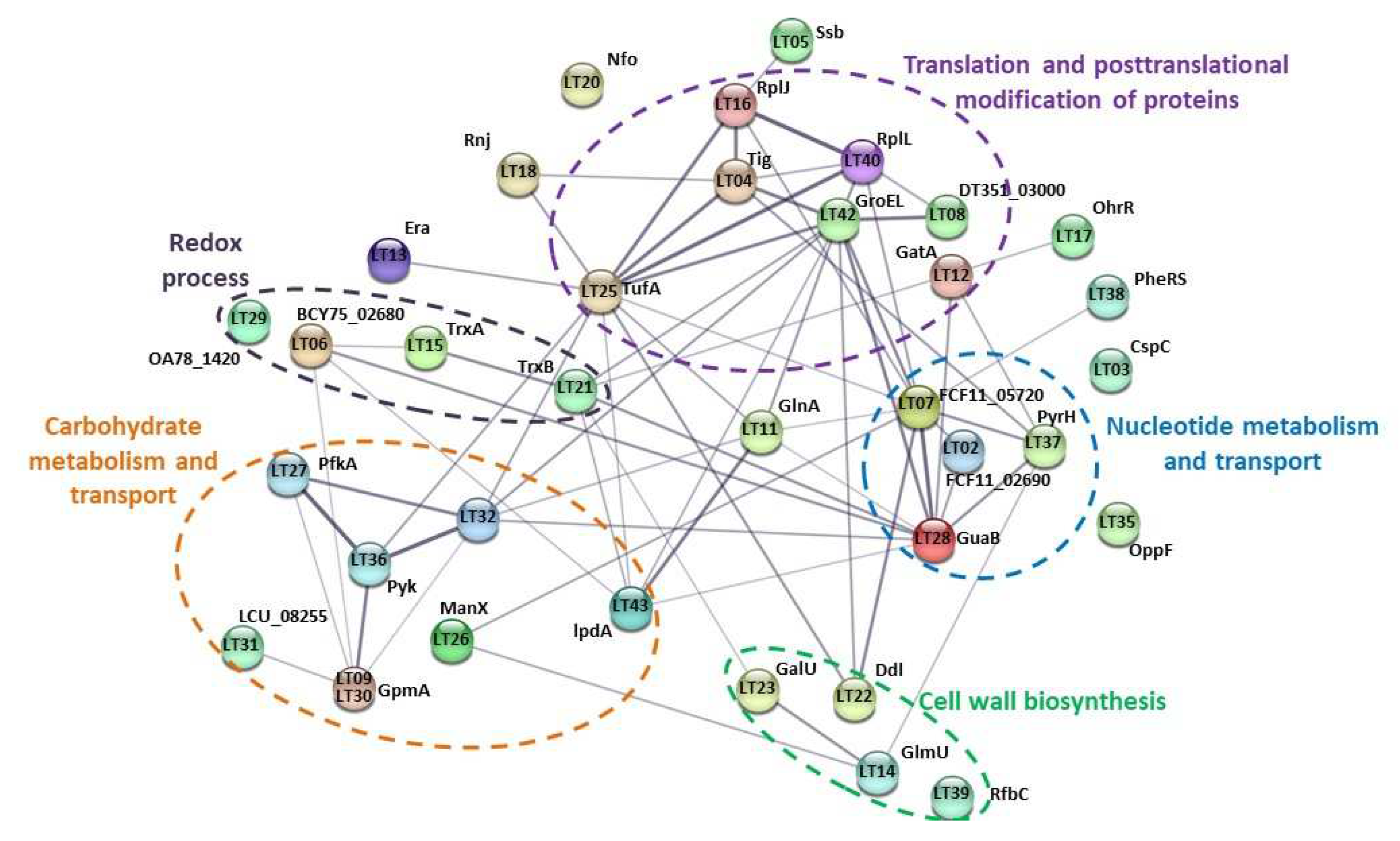 Preprints 83782 g005