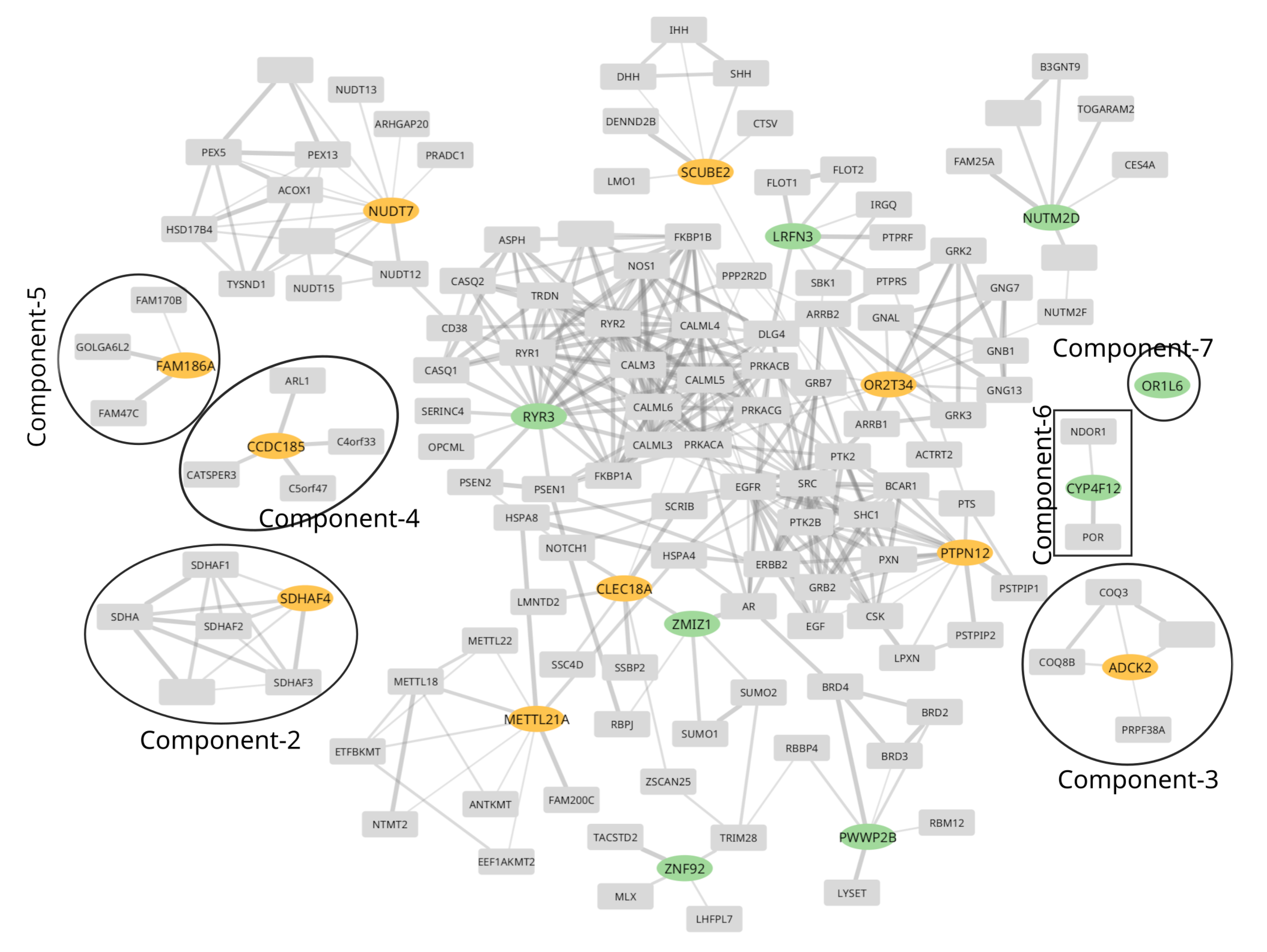 Preprints 120336 g001