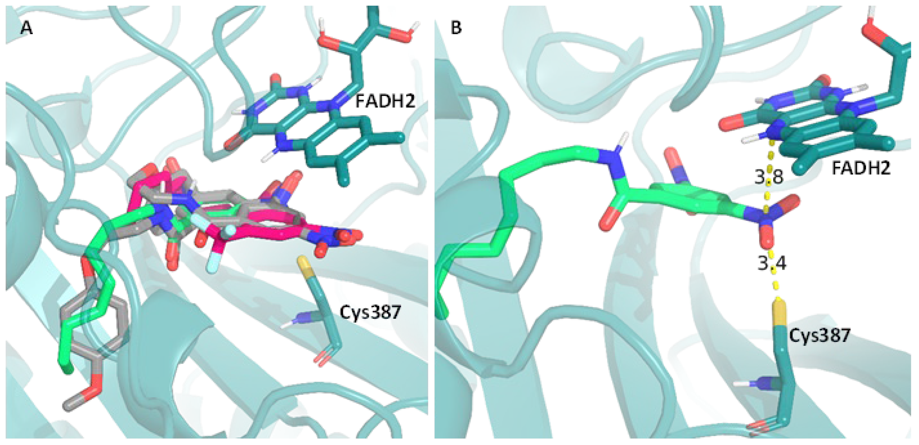 Preprints 104077 g004