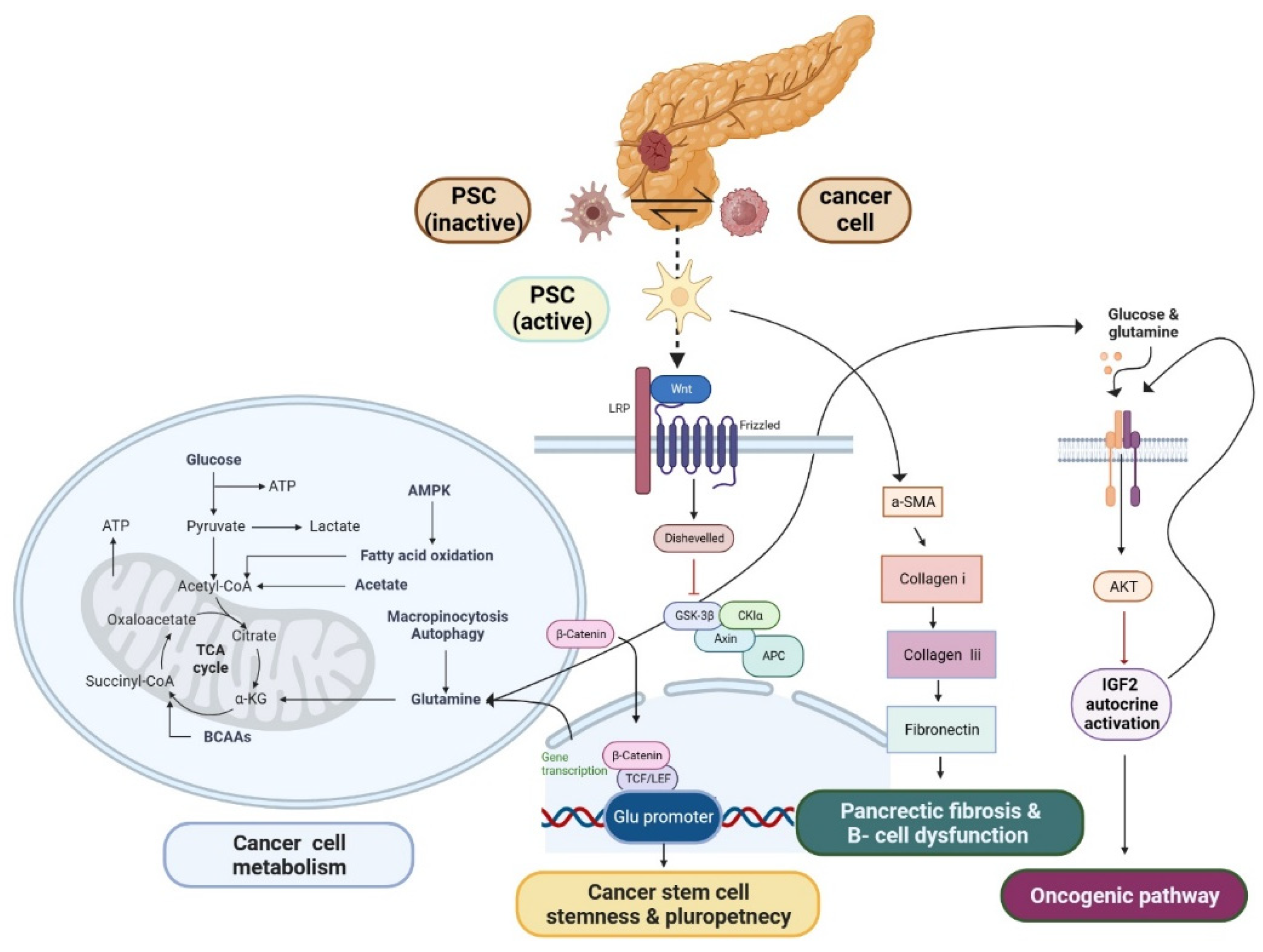 Preprints 83424 g001