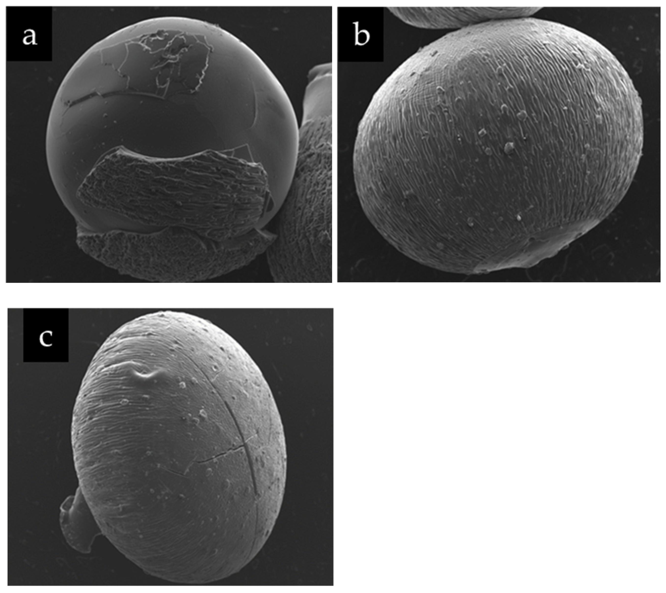 Preprints 86745 g003