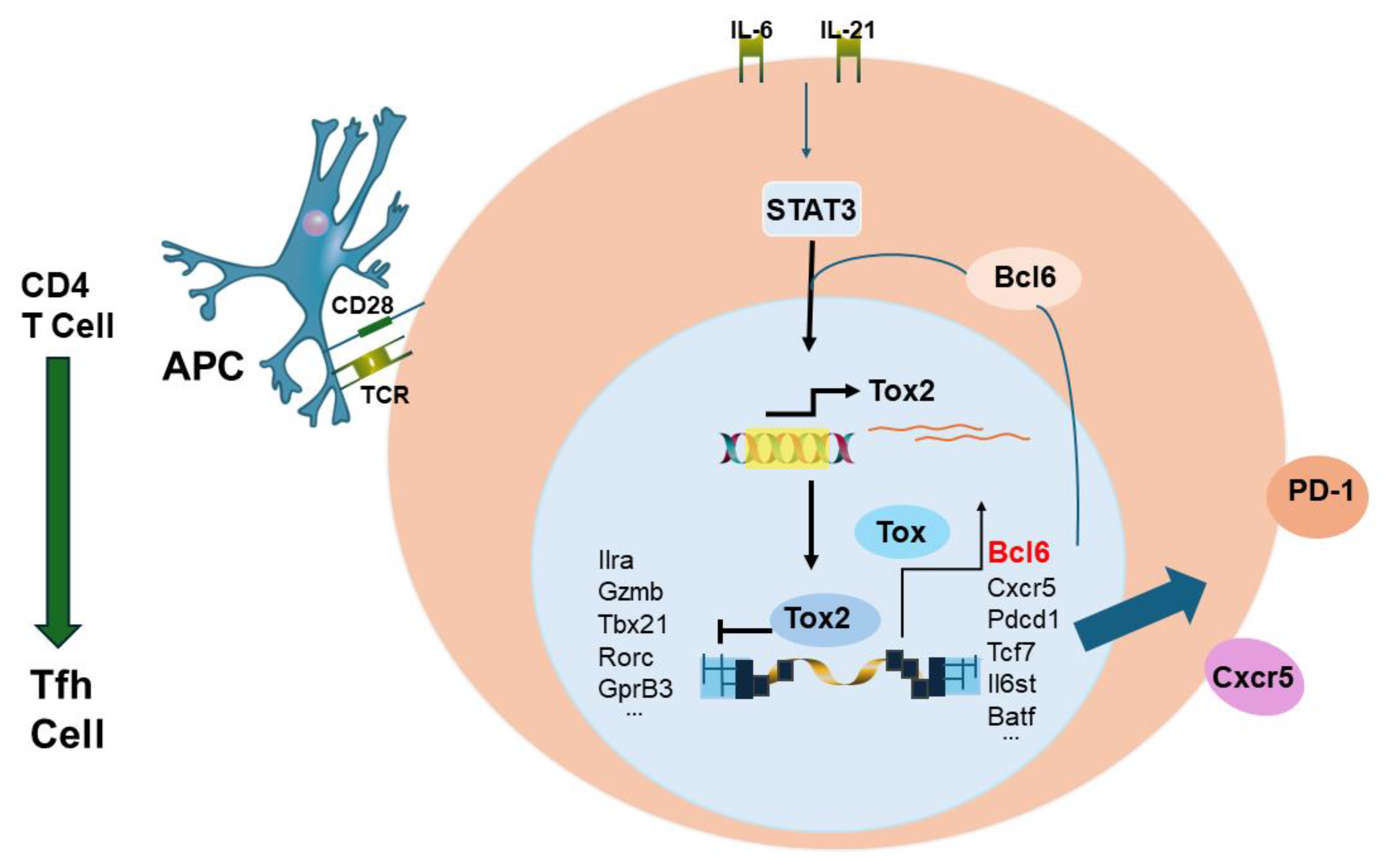 Preprints 102339 g006